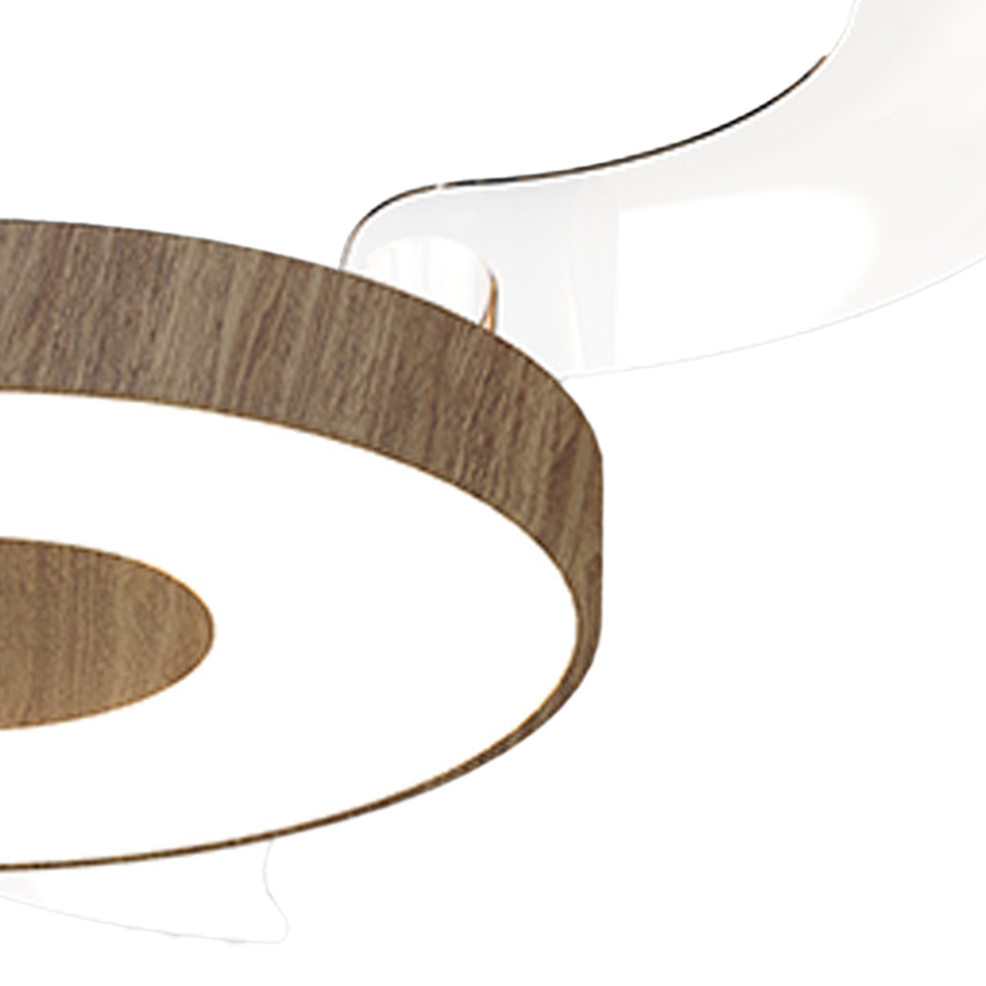 Coin Fan M_M9641