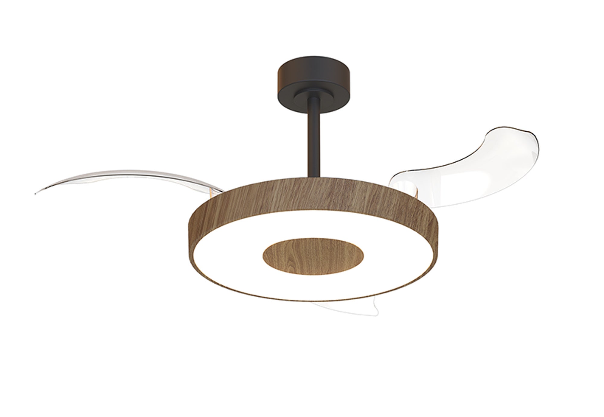 Coin Fan M_M9641