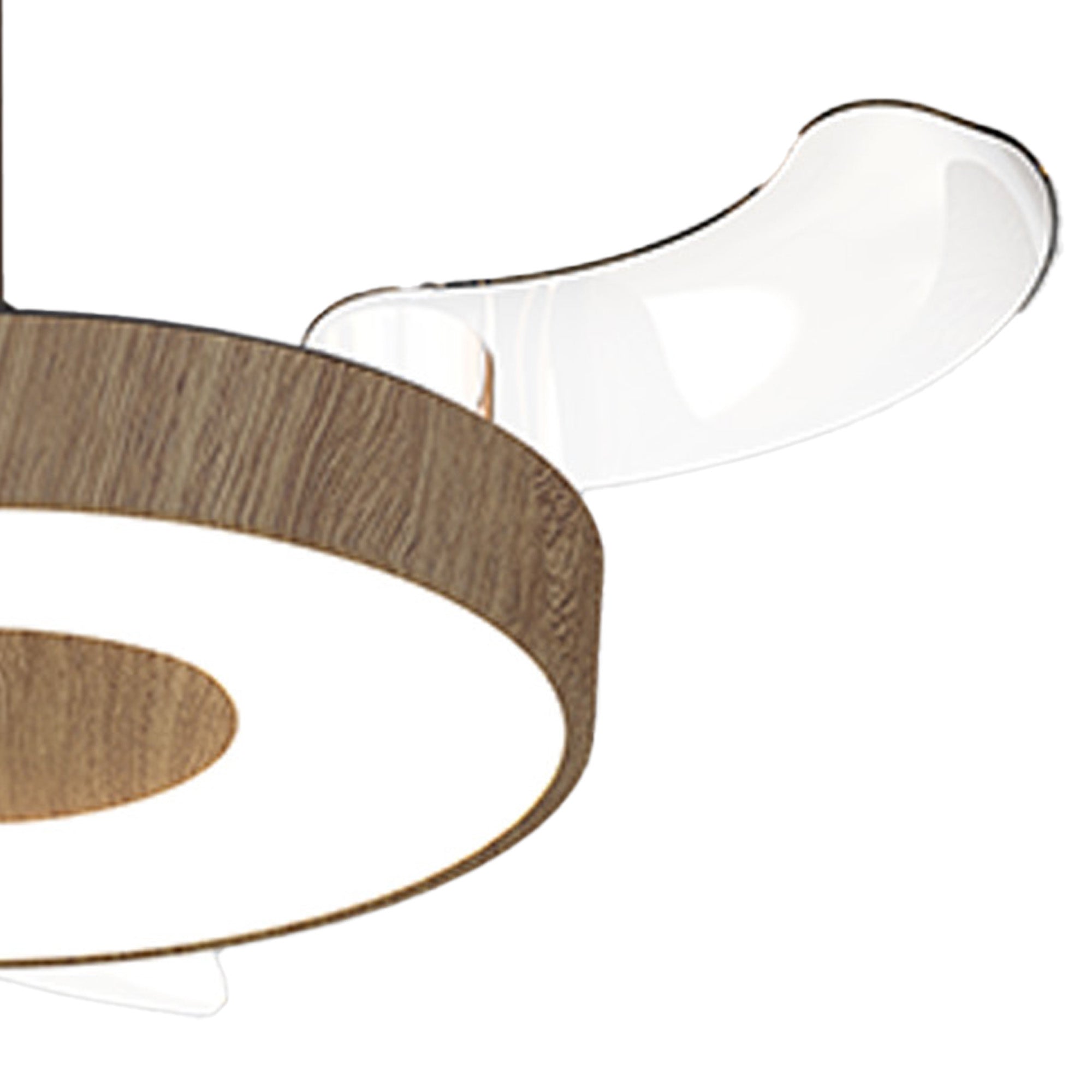 Coin Fan Mini Smart_M9639