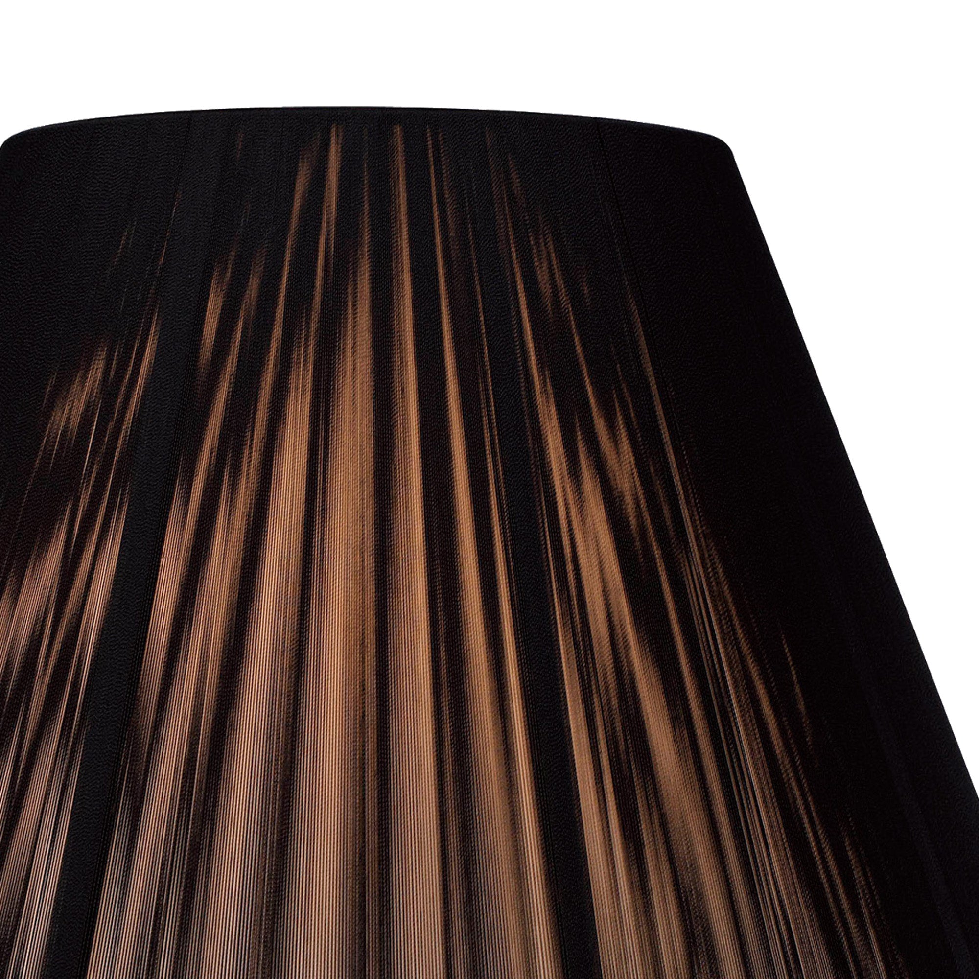 elena_IL30510