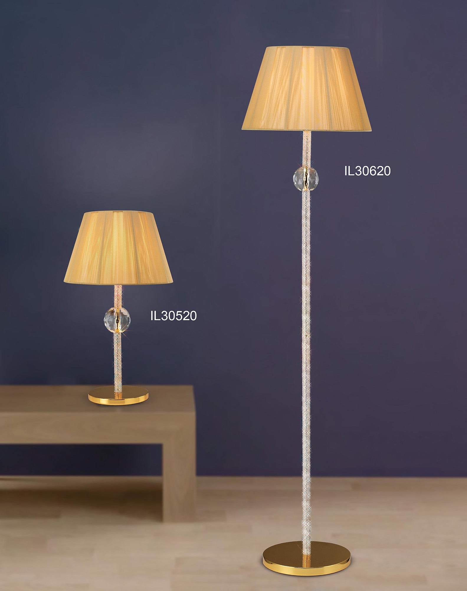 elena_IL30620