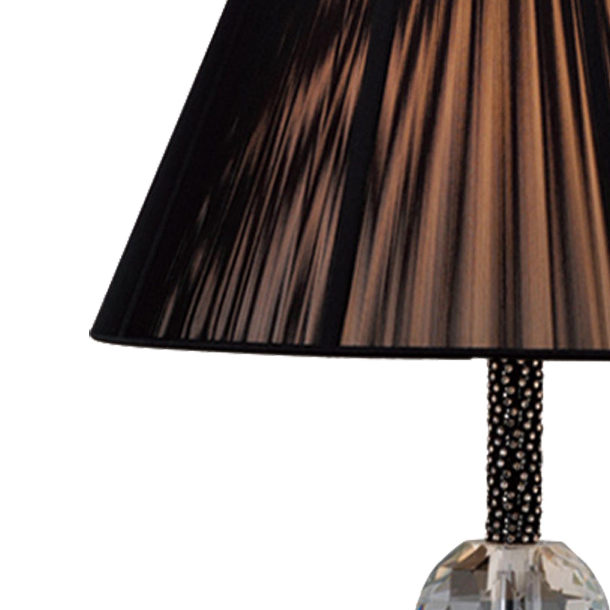 elena_IL30590