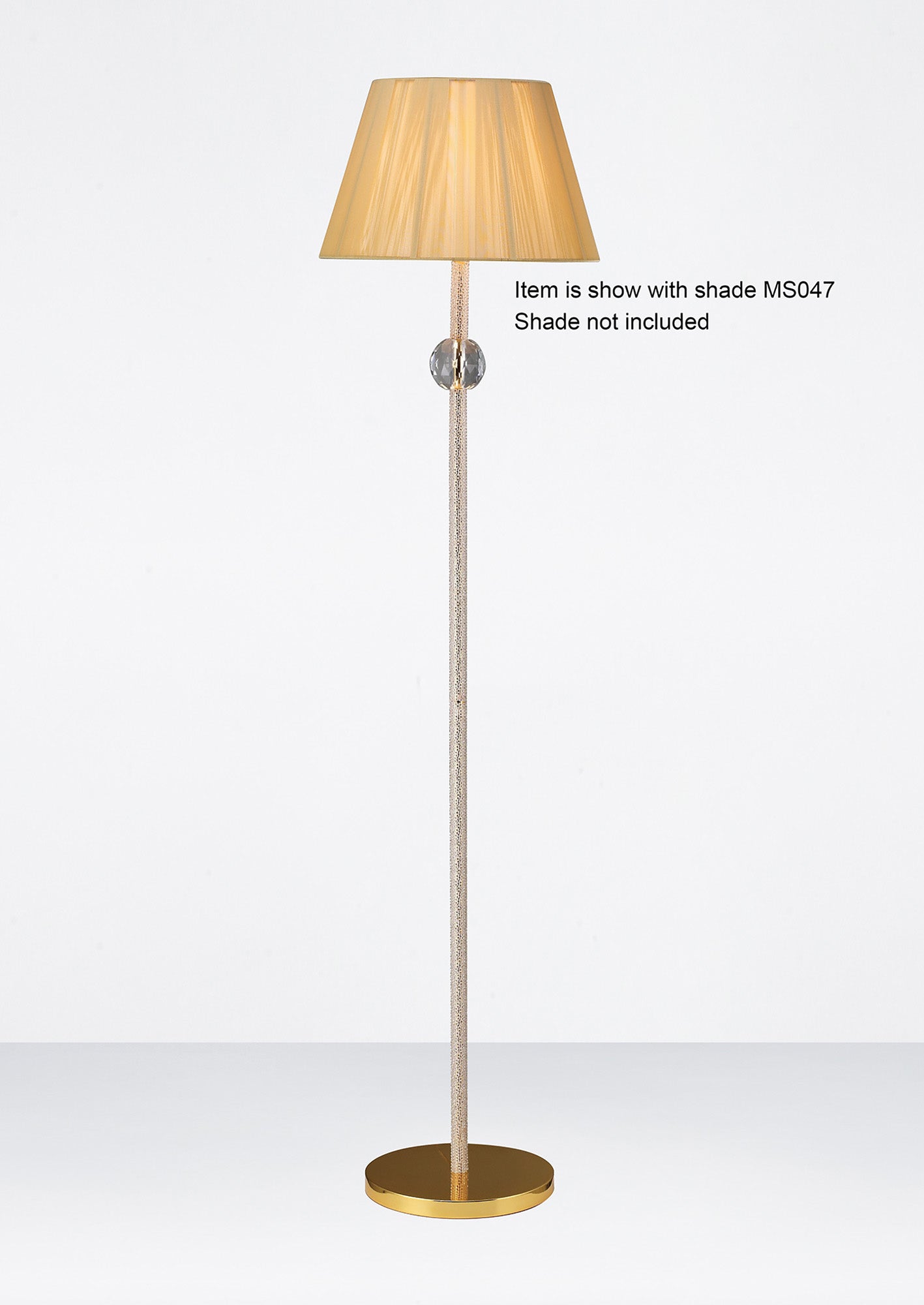 elena_IL30620