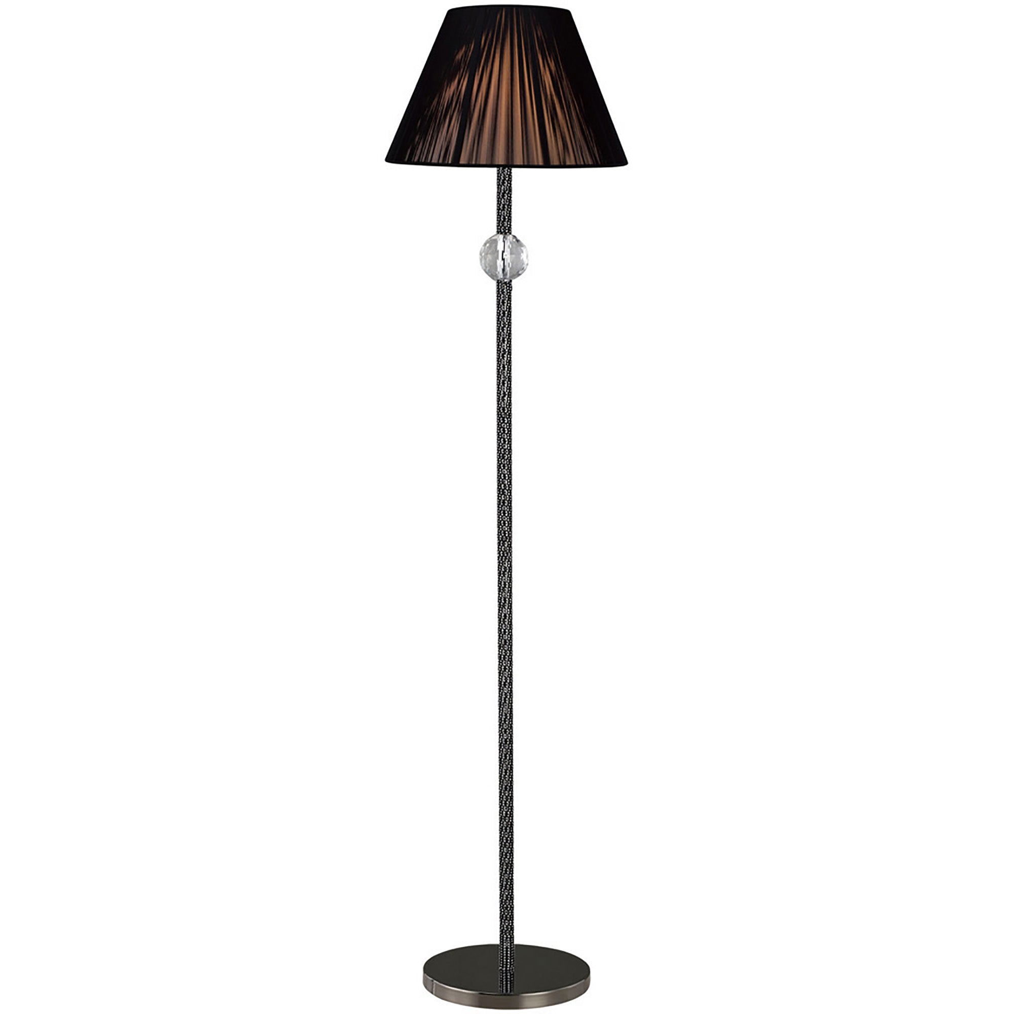 elena_IL30690