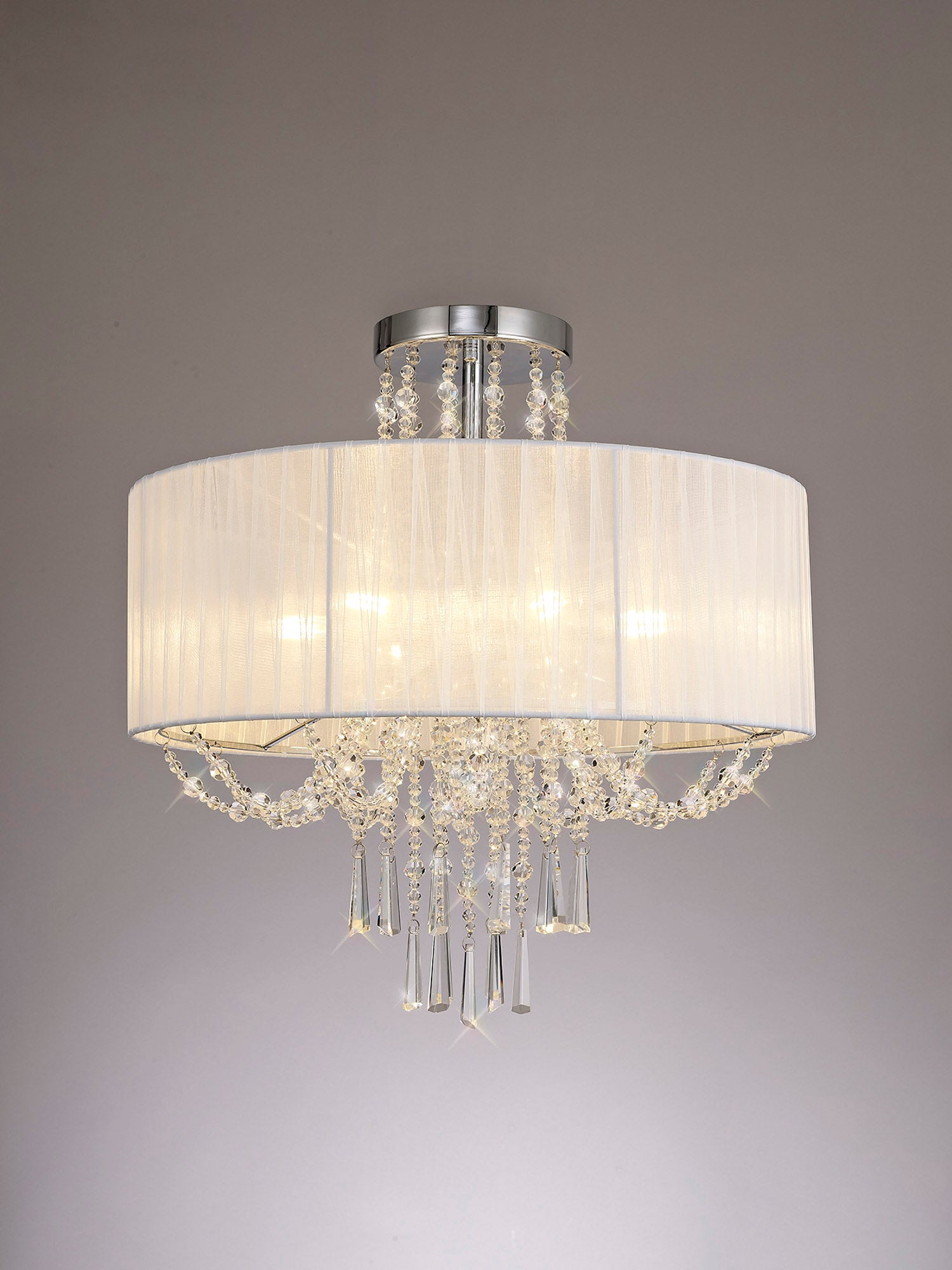 freida_IL31747