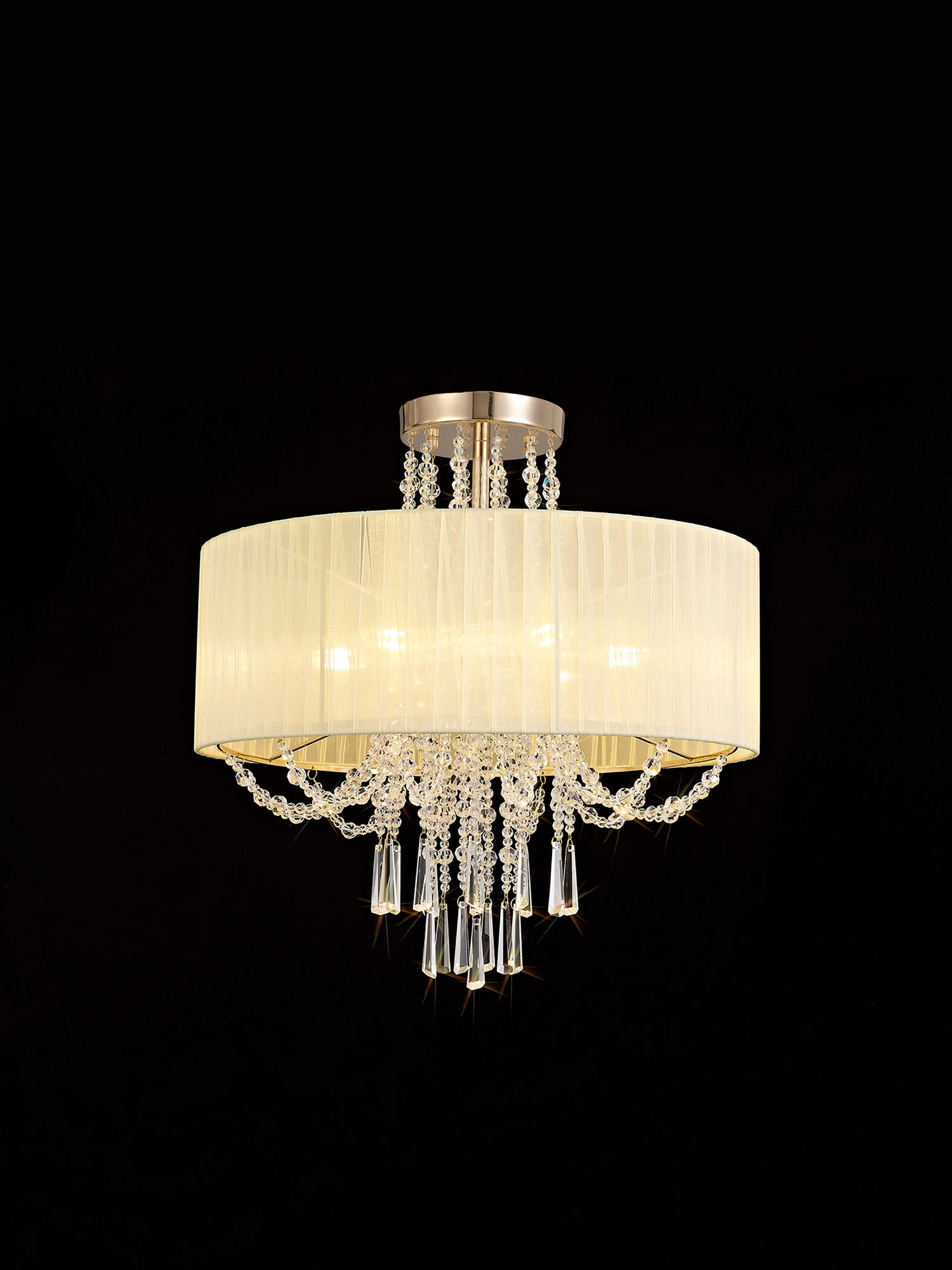 freida_IL31757