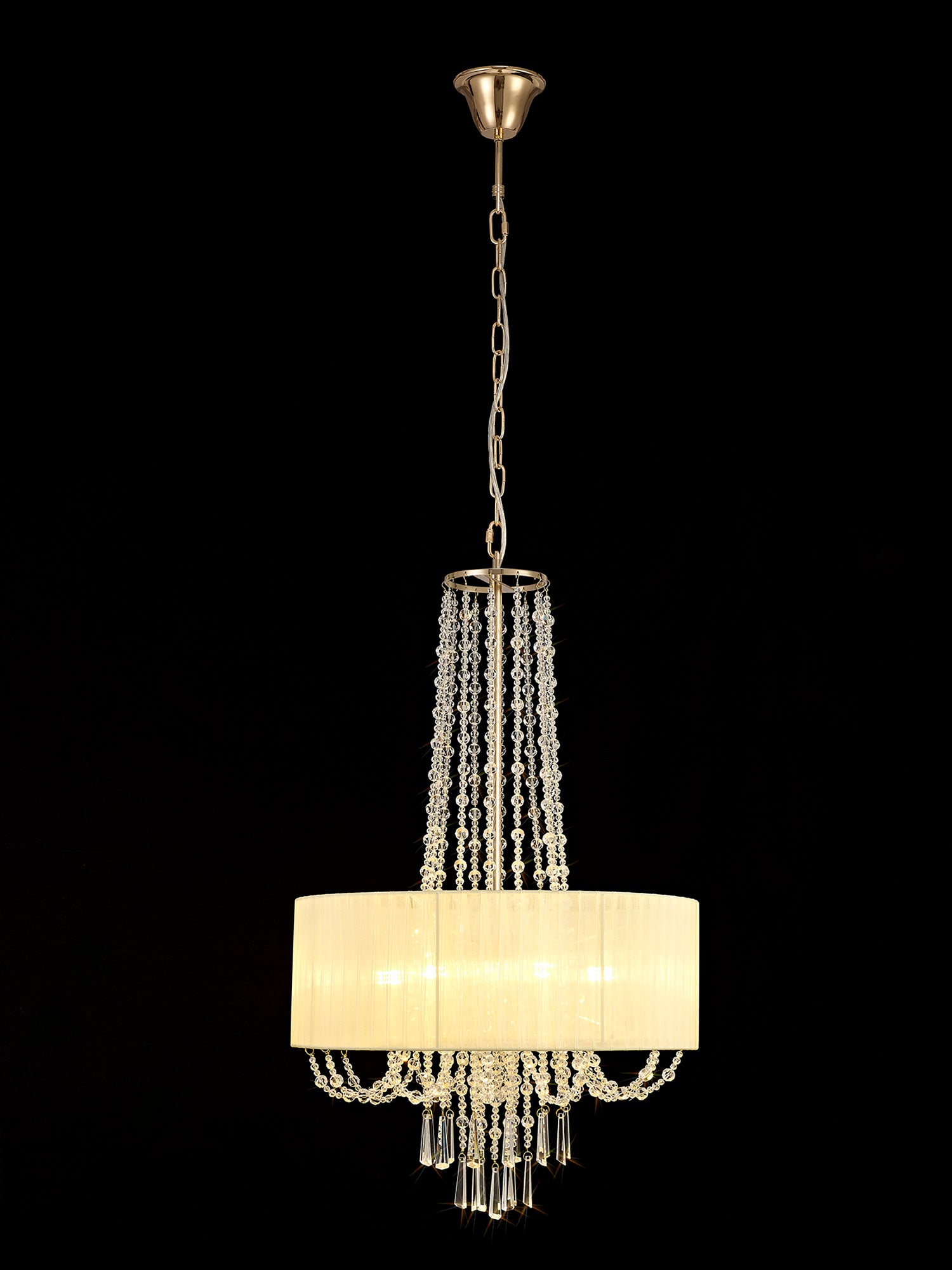 freida_IL31758