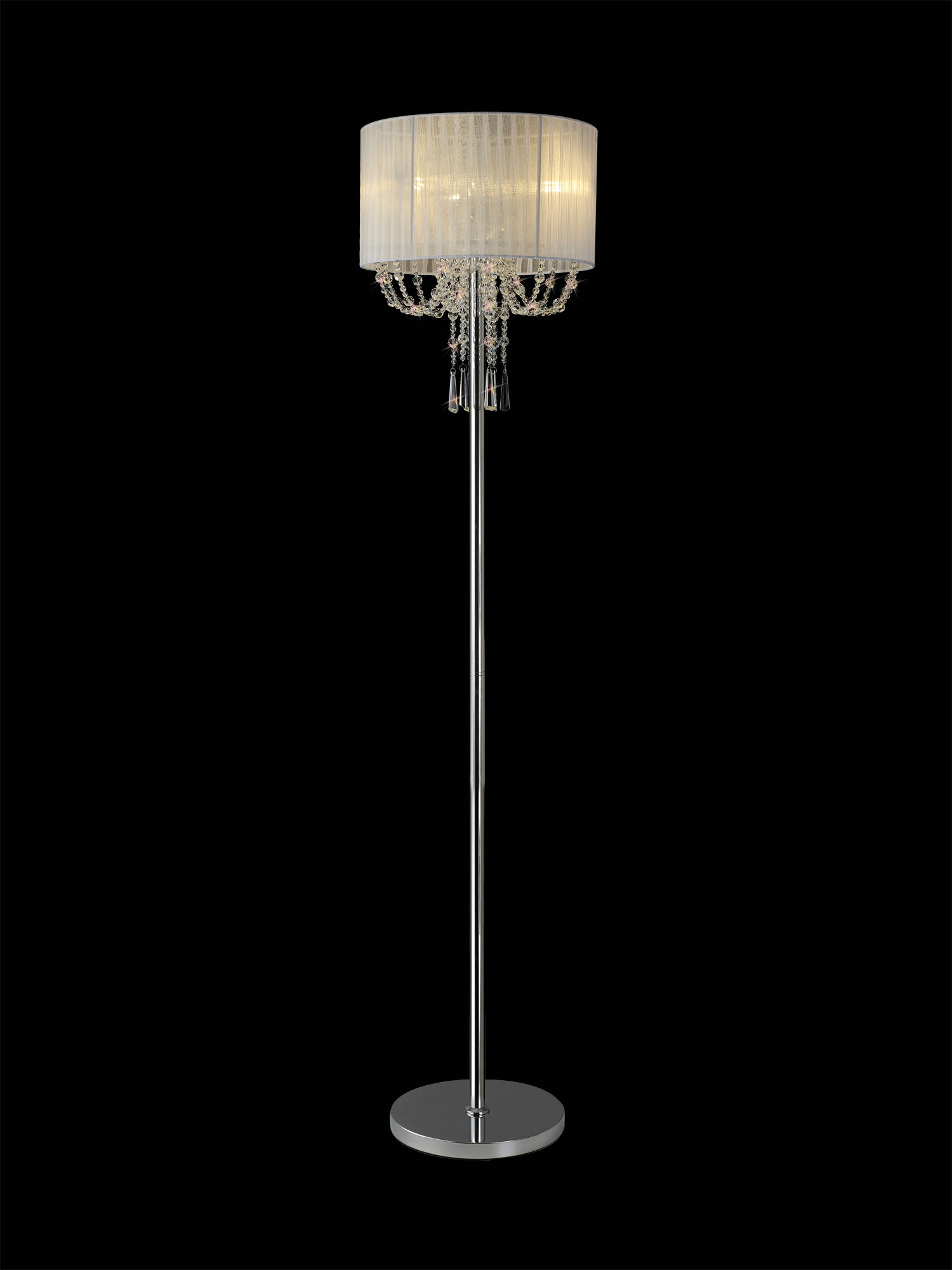 freida_IL31762