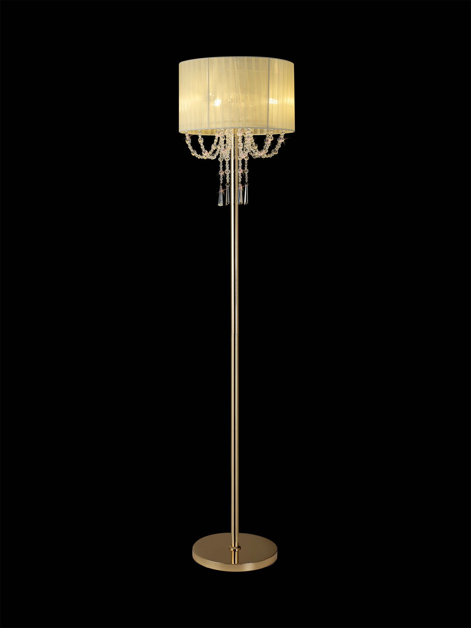 freida_IL31763