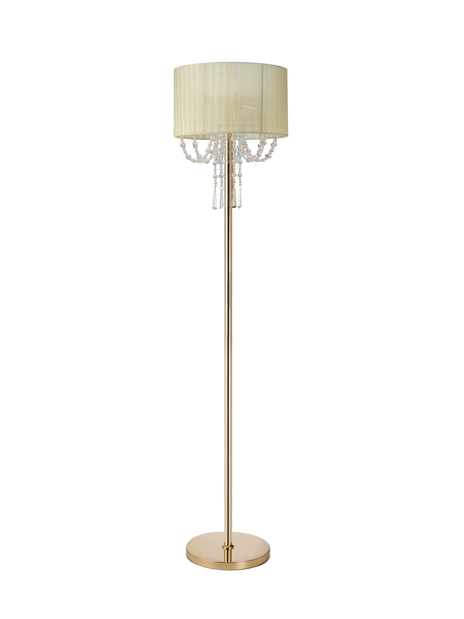 freida_IL31763