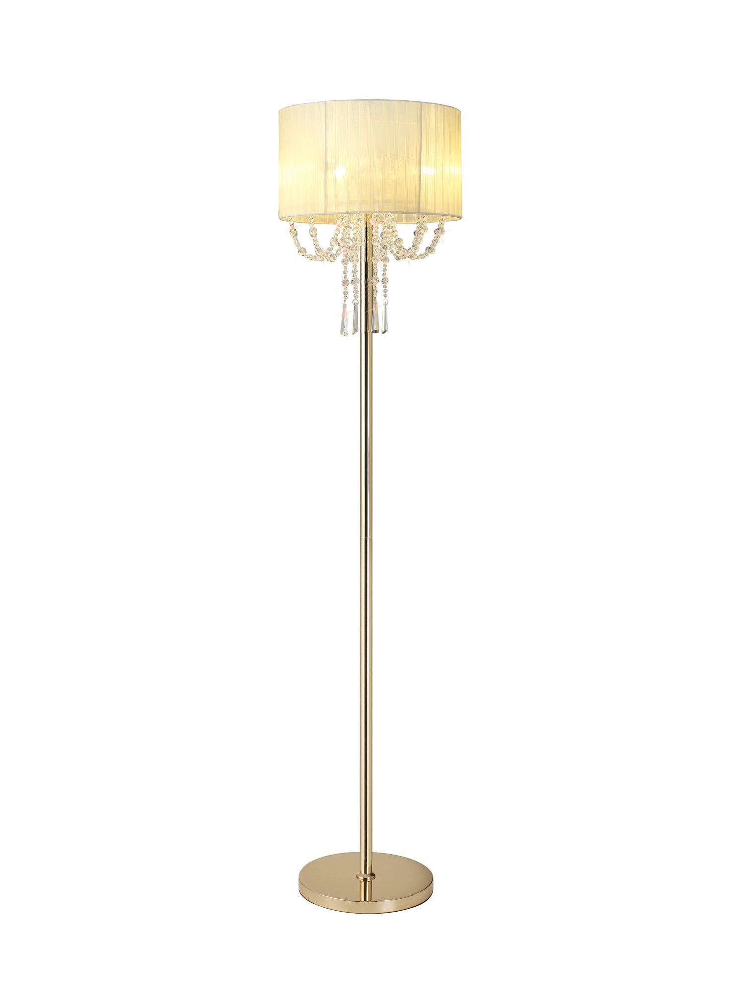 freida_IL31763