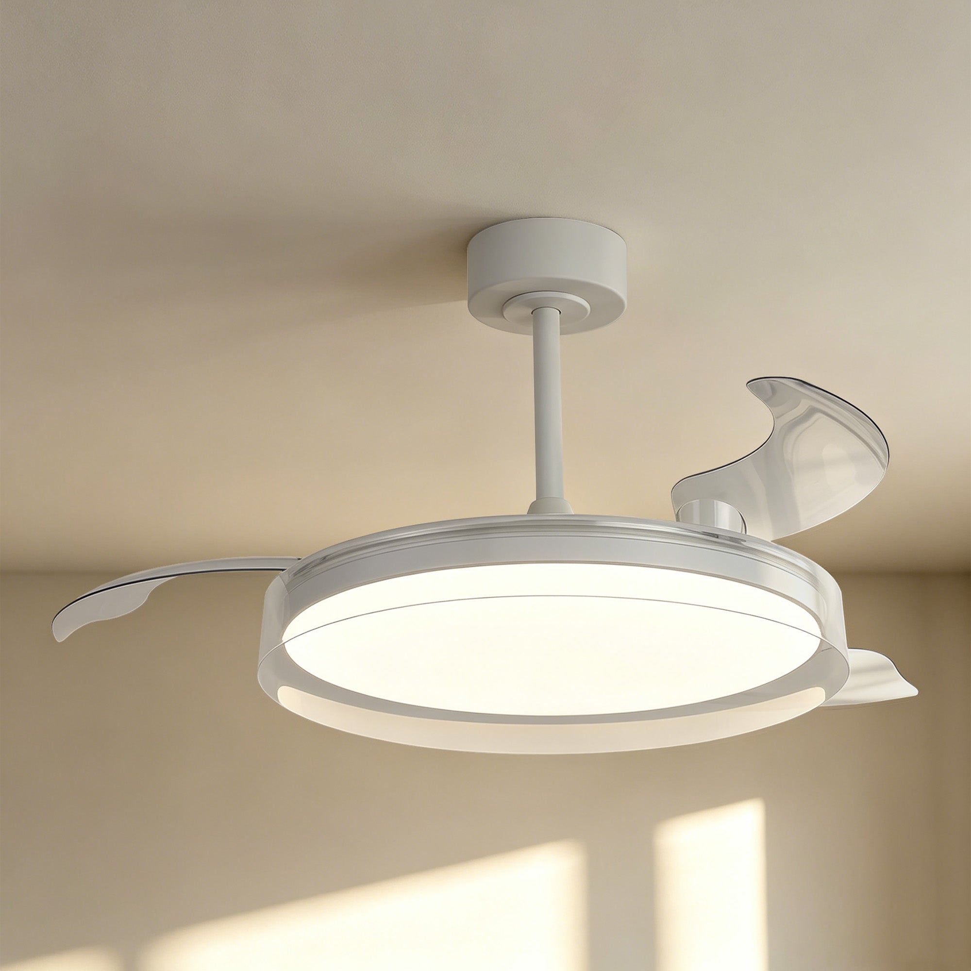 Glass Fan_M9525