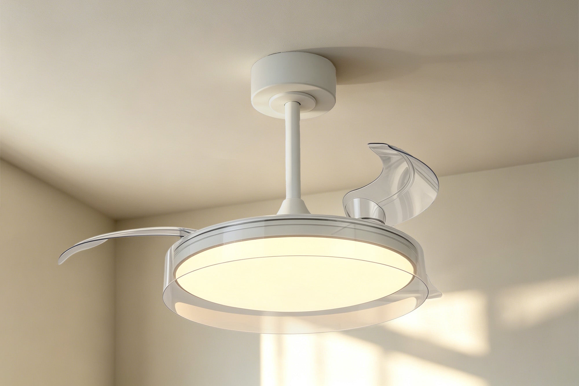 Glass Fan_M9527