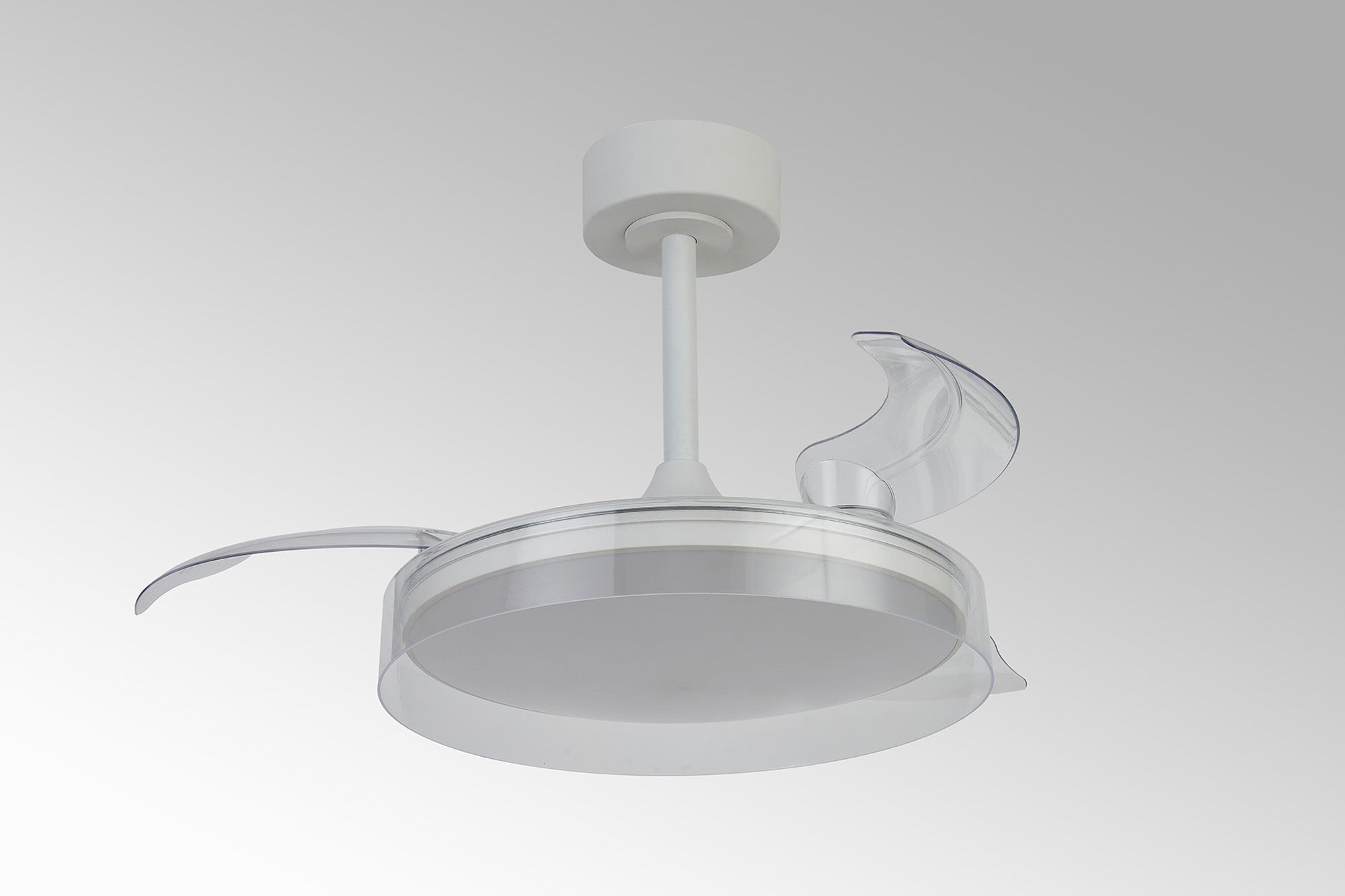 Glass Fan_M9527