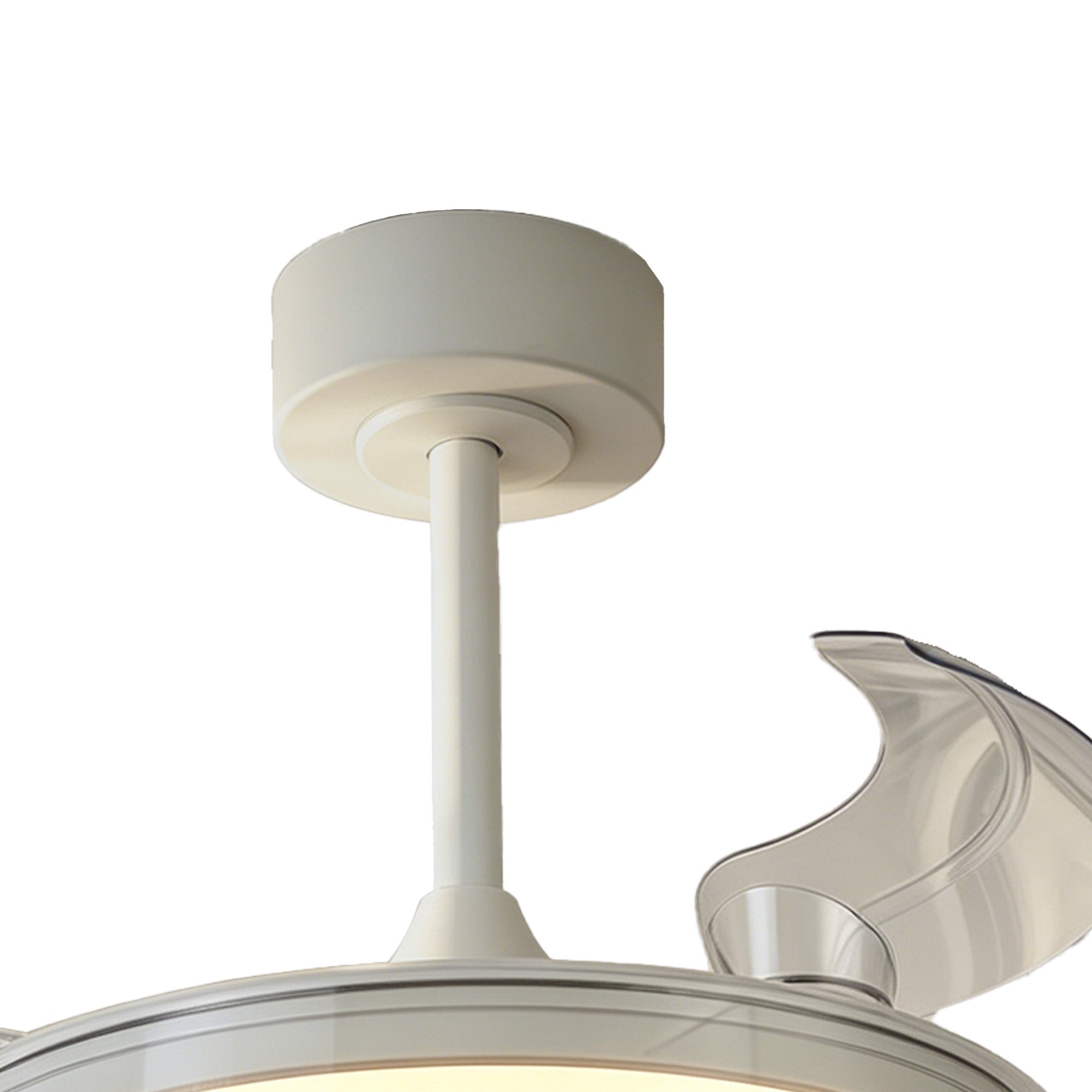 Glass Fan_M9527