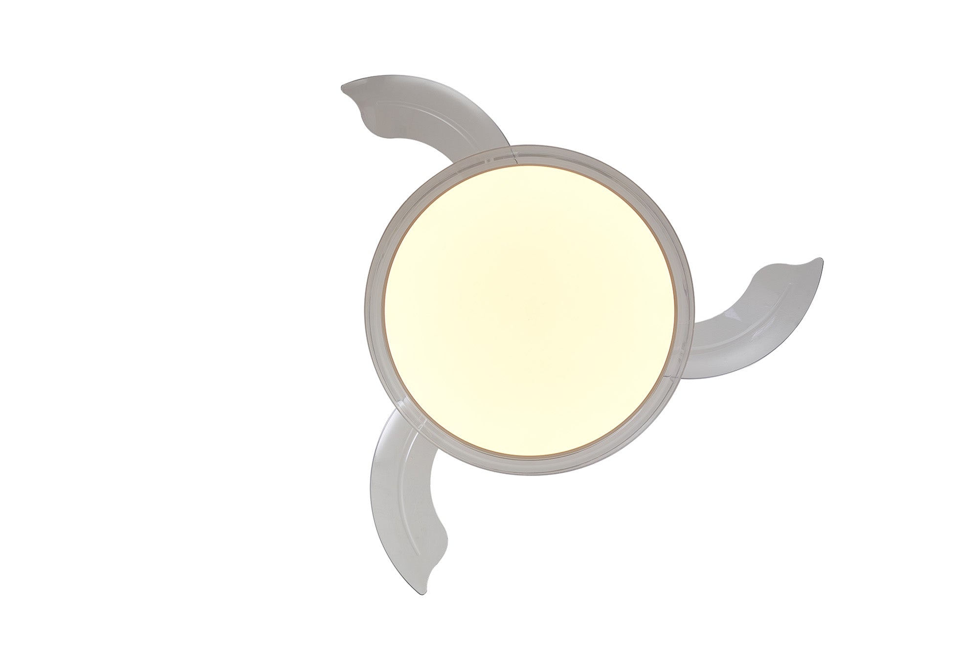Glass Fan_M9527
