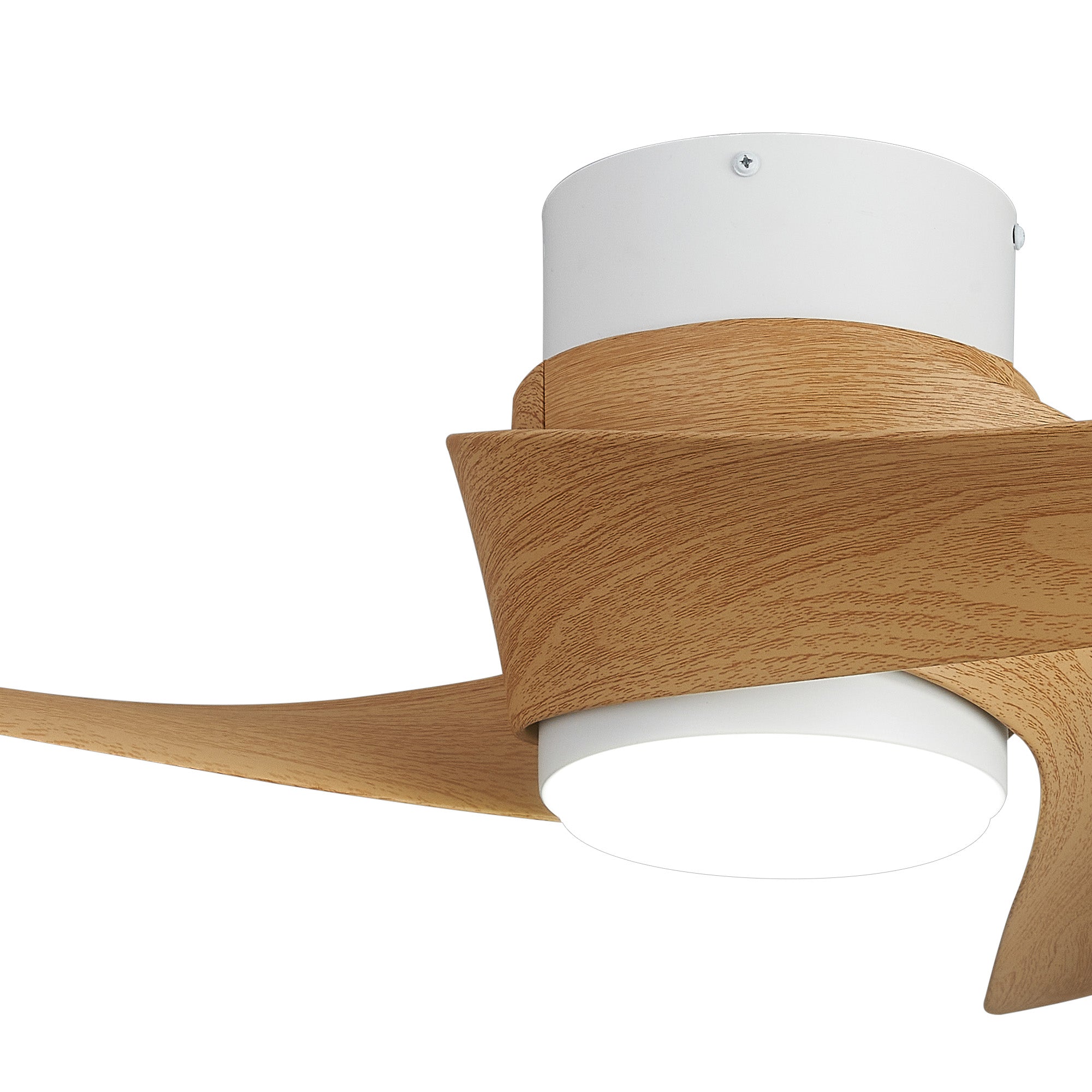Groenland XS_M9065