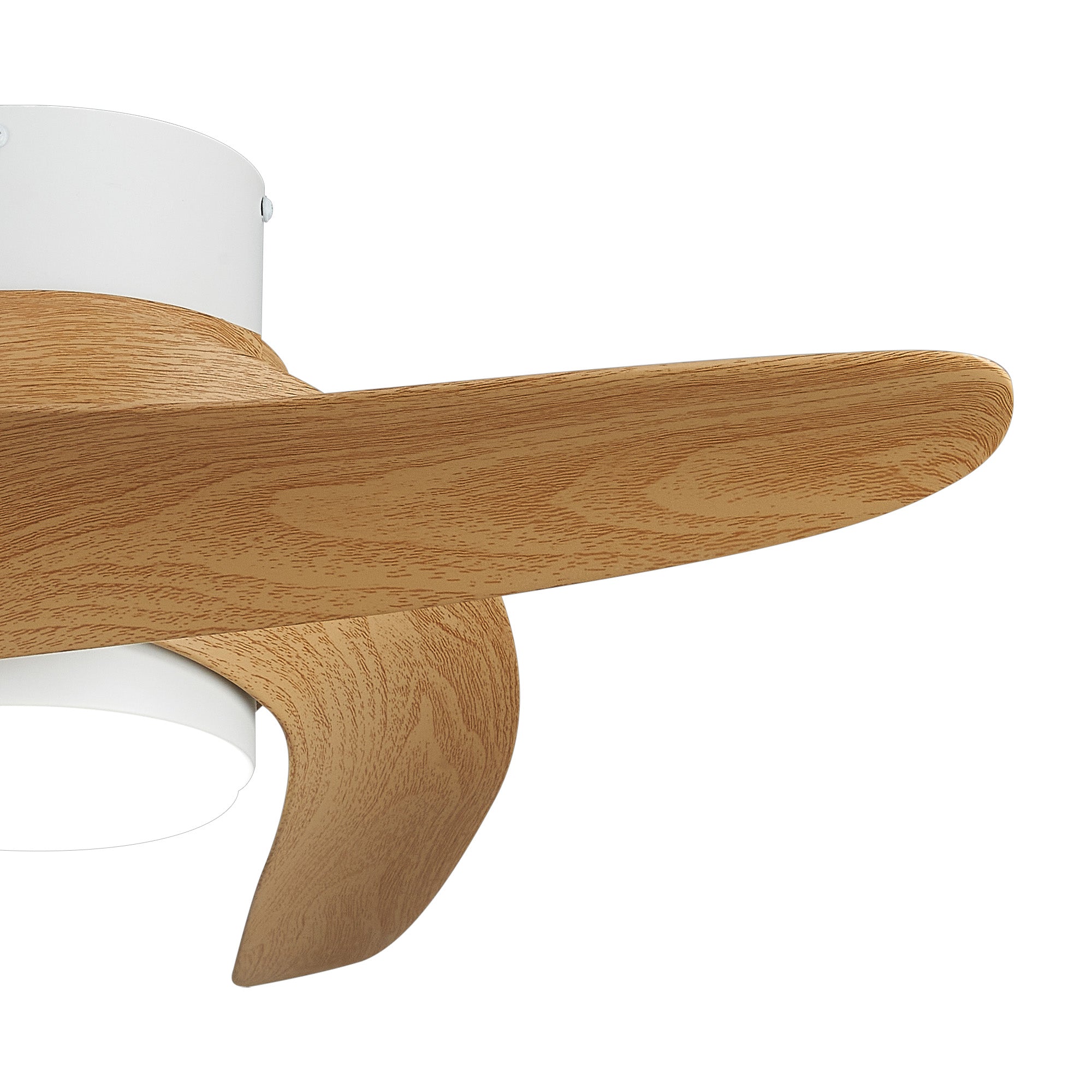 Groenland XS_M9065