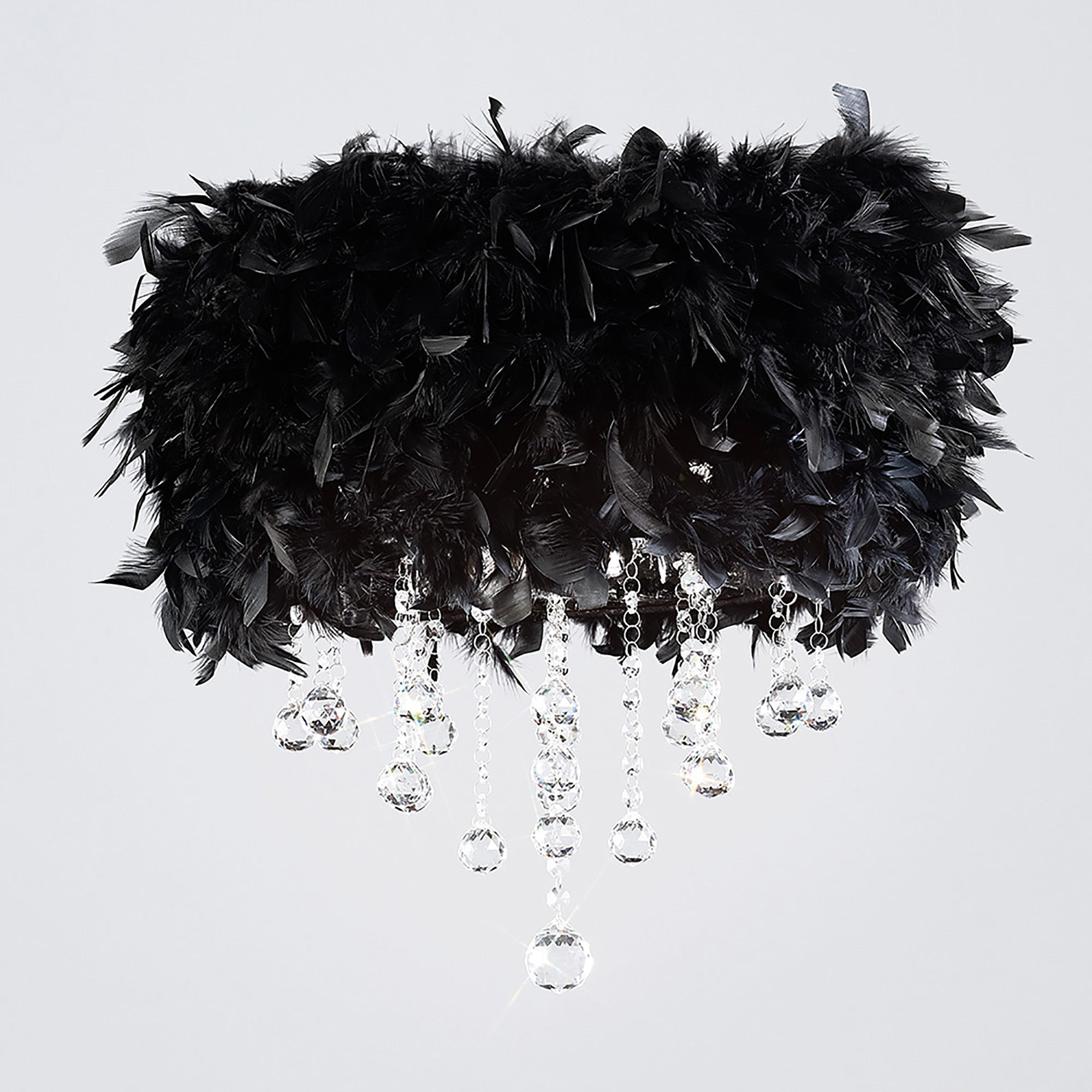 ibis_IL30741/BL