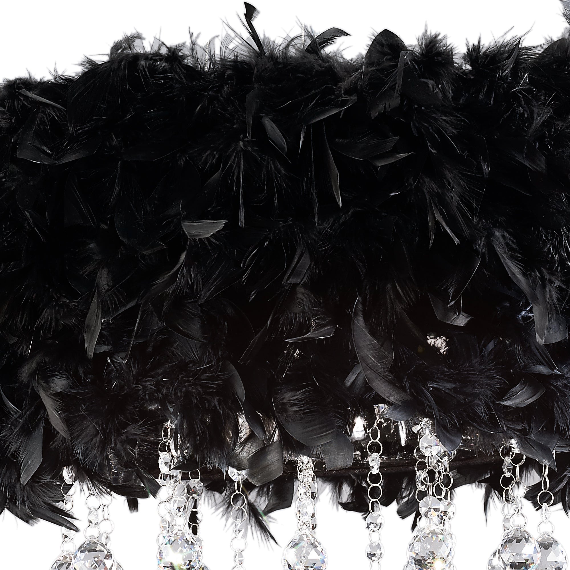 ibis_IL30741/BL