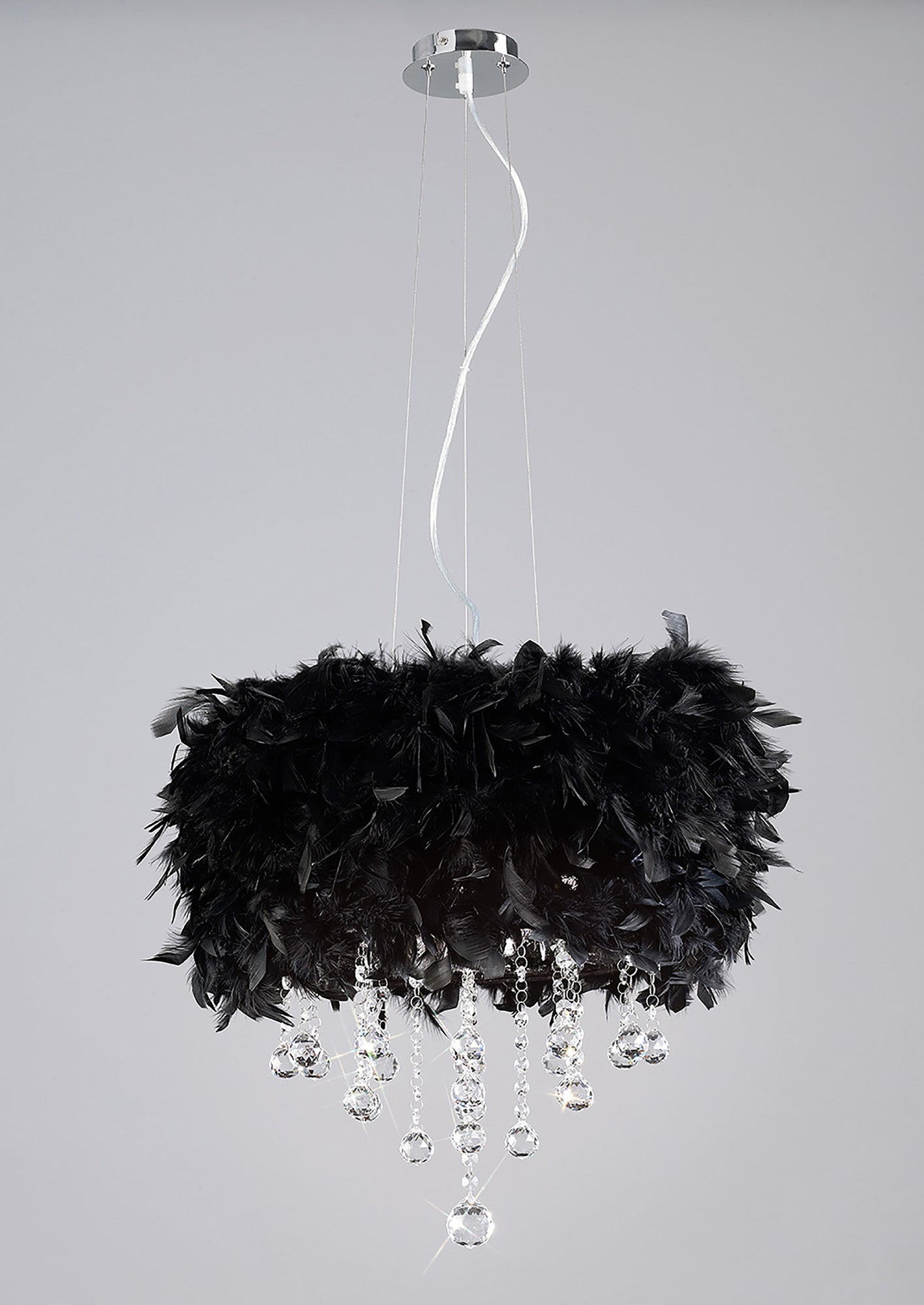 ibis_IL30742/BL