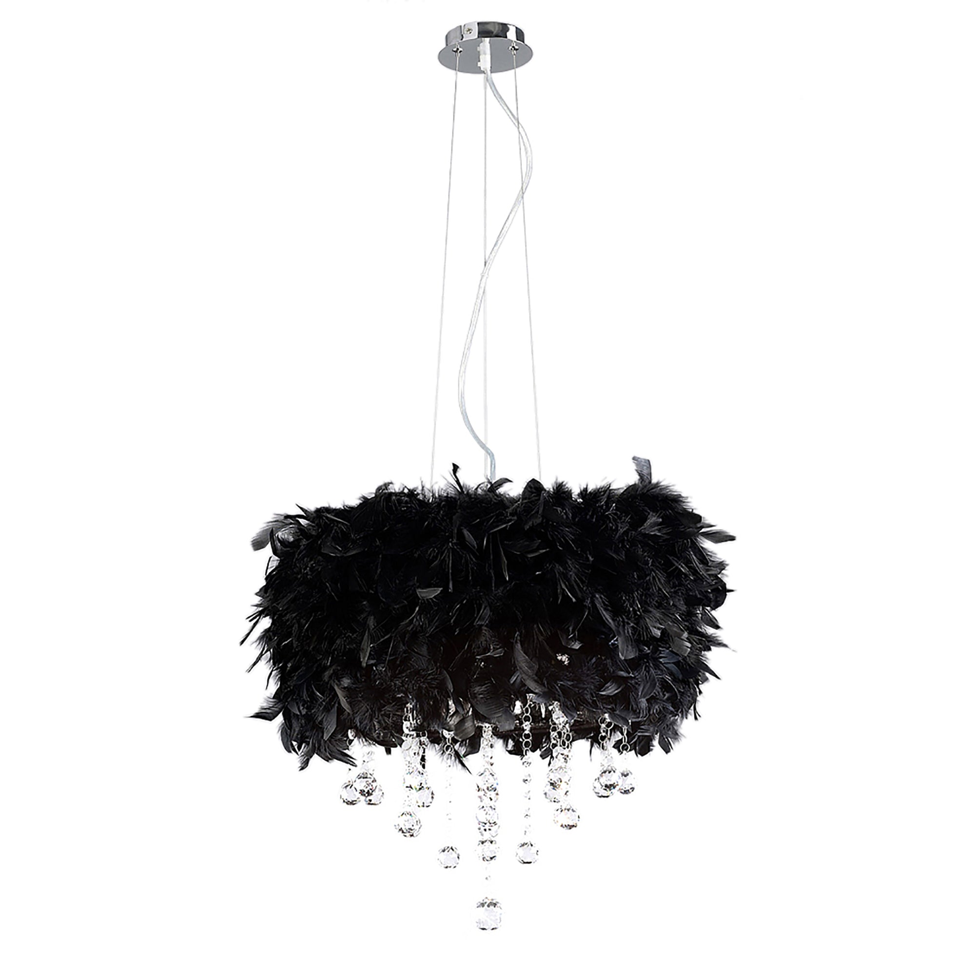 ibis_IL30742/BL