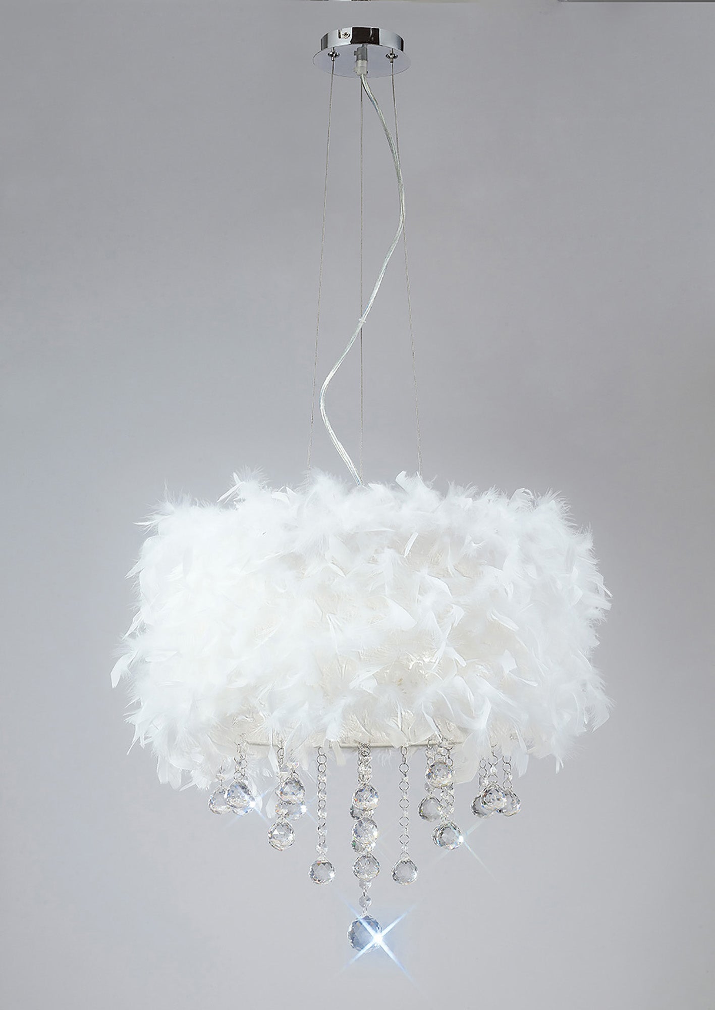 ibis_IL30742/WH