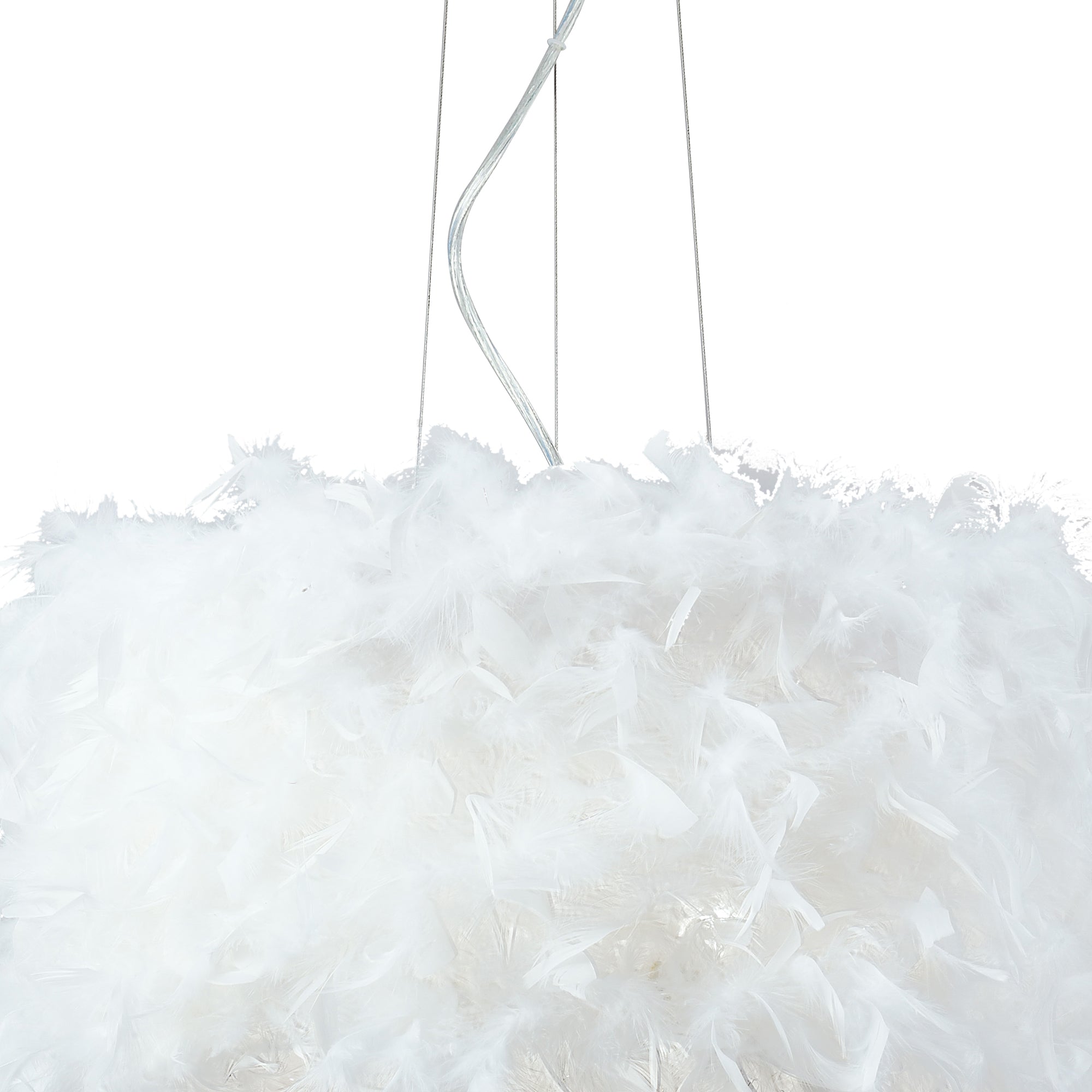 ibis_IL30742/WH