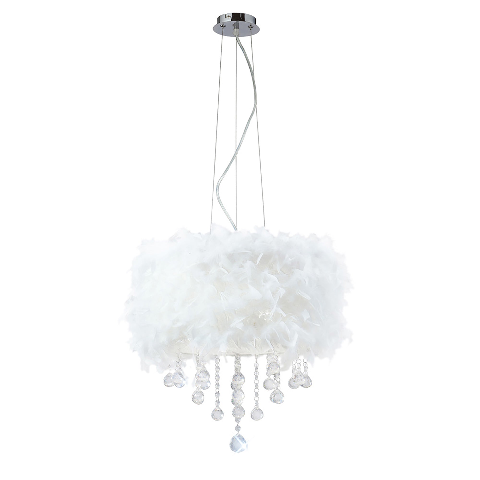 ibis_IL30742/WH