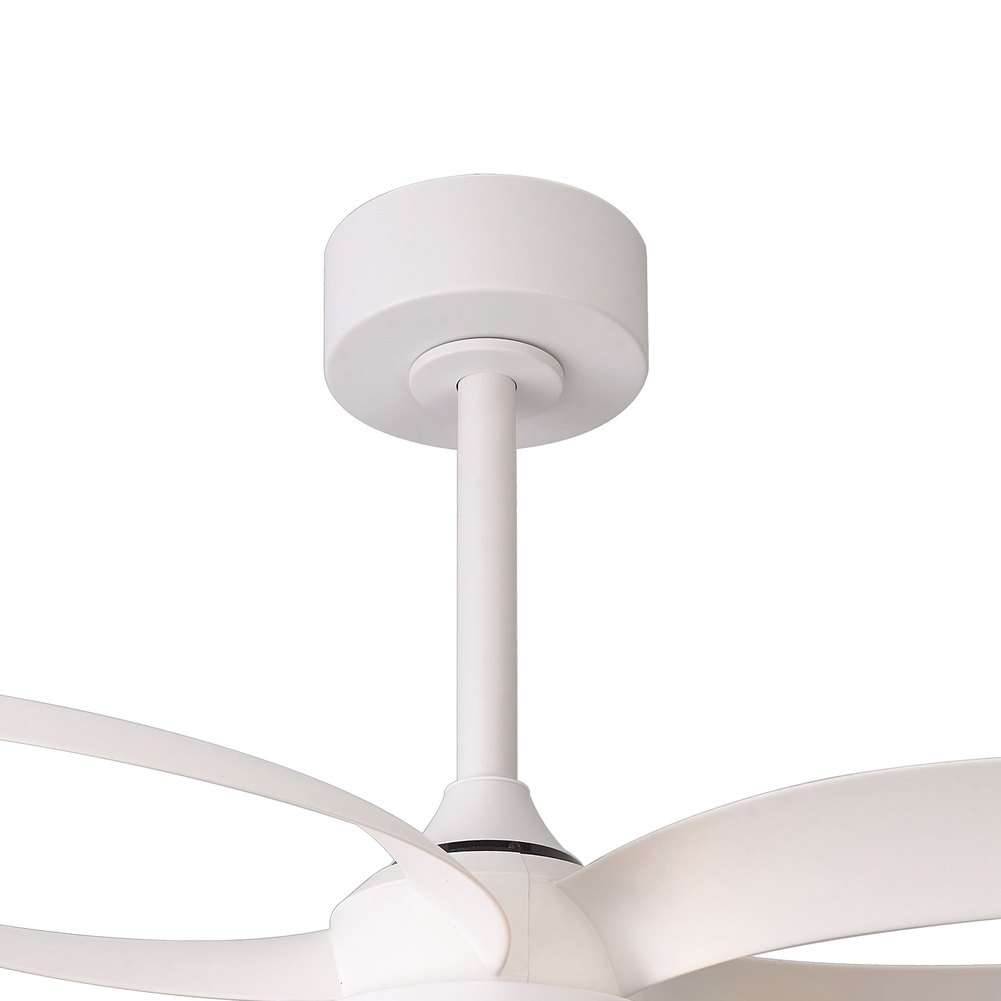 Infinity Fan_M8700