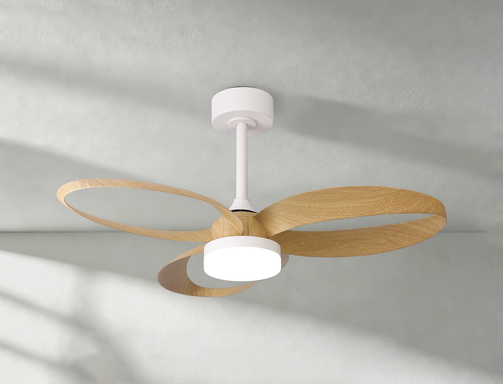 Infinity Fan_M8702