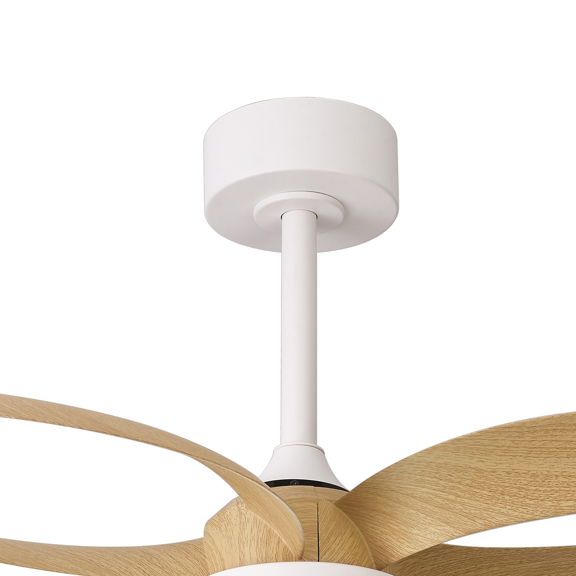 Infinity Fan_M8702
