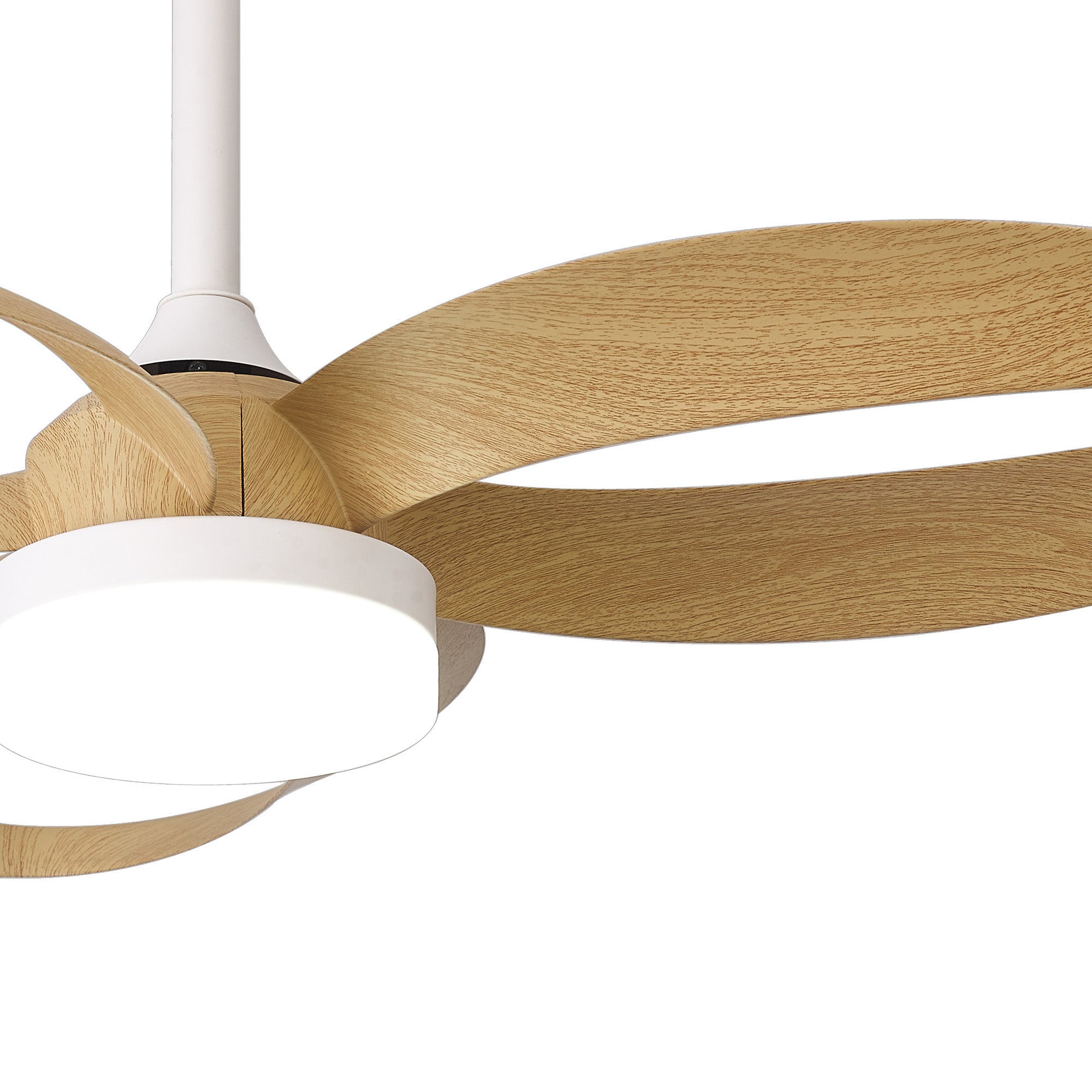Infinity Fan_M8702