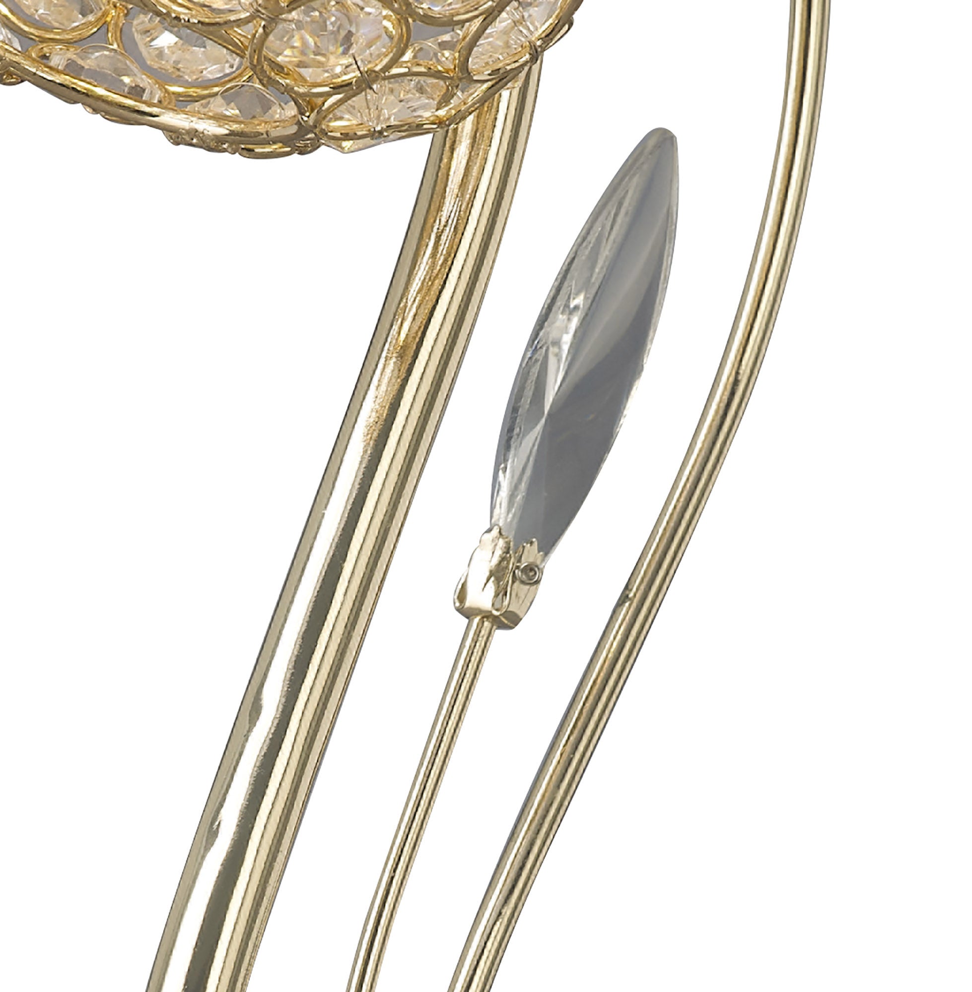 leimo_IL30969
