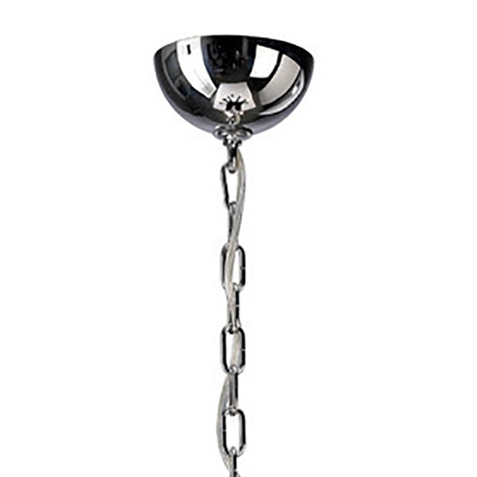 nardini_IL31039