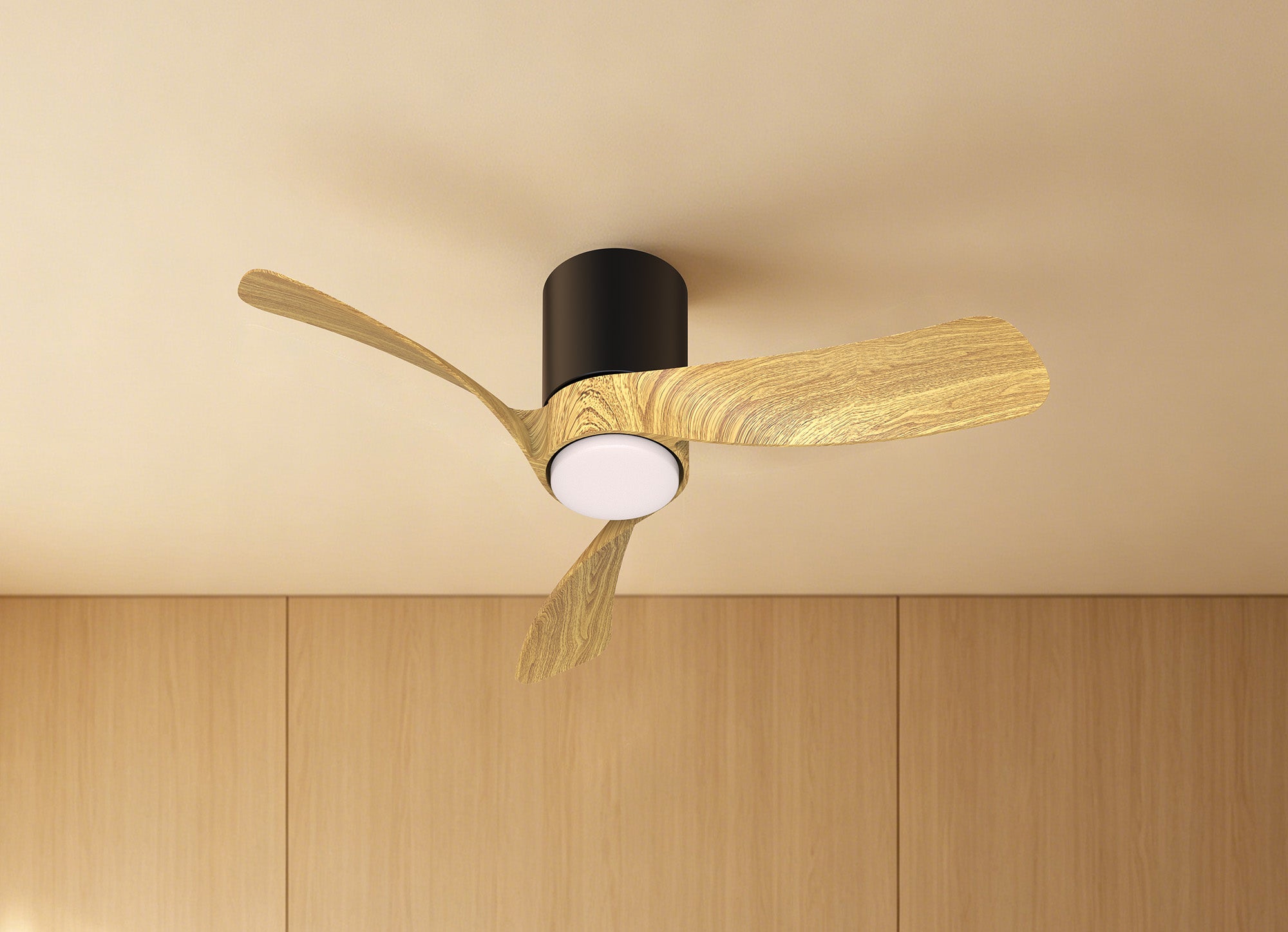 Nemo XS_M9053