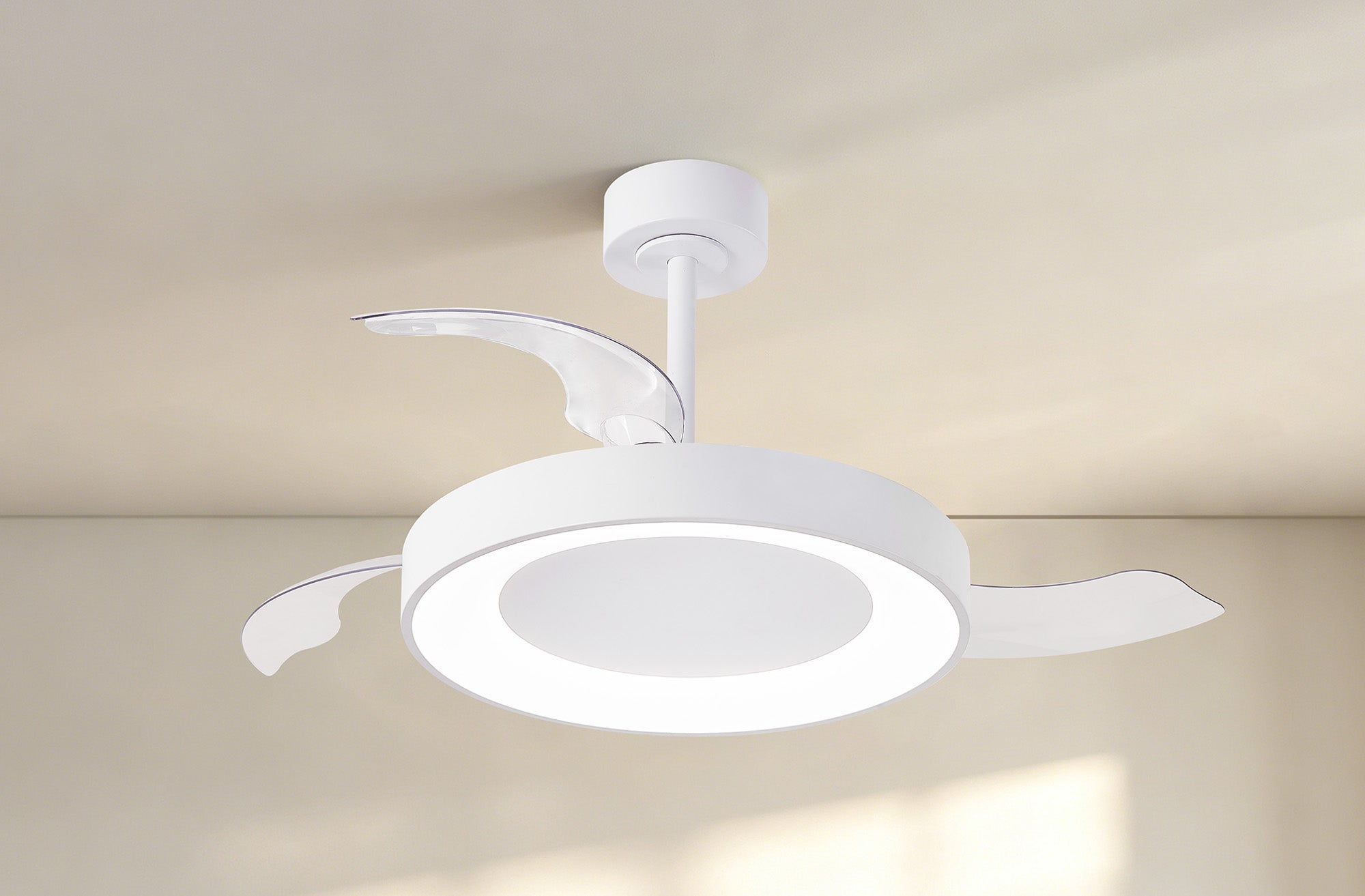Niseko Fan M_M9010
