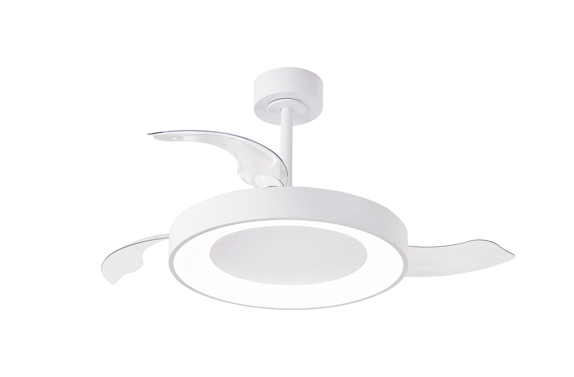 Niseko Fan M_M9010