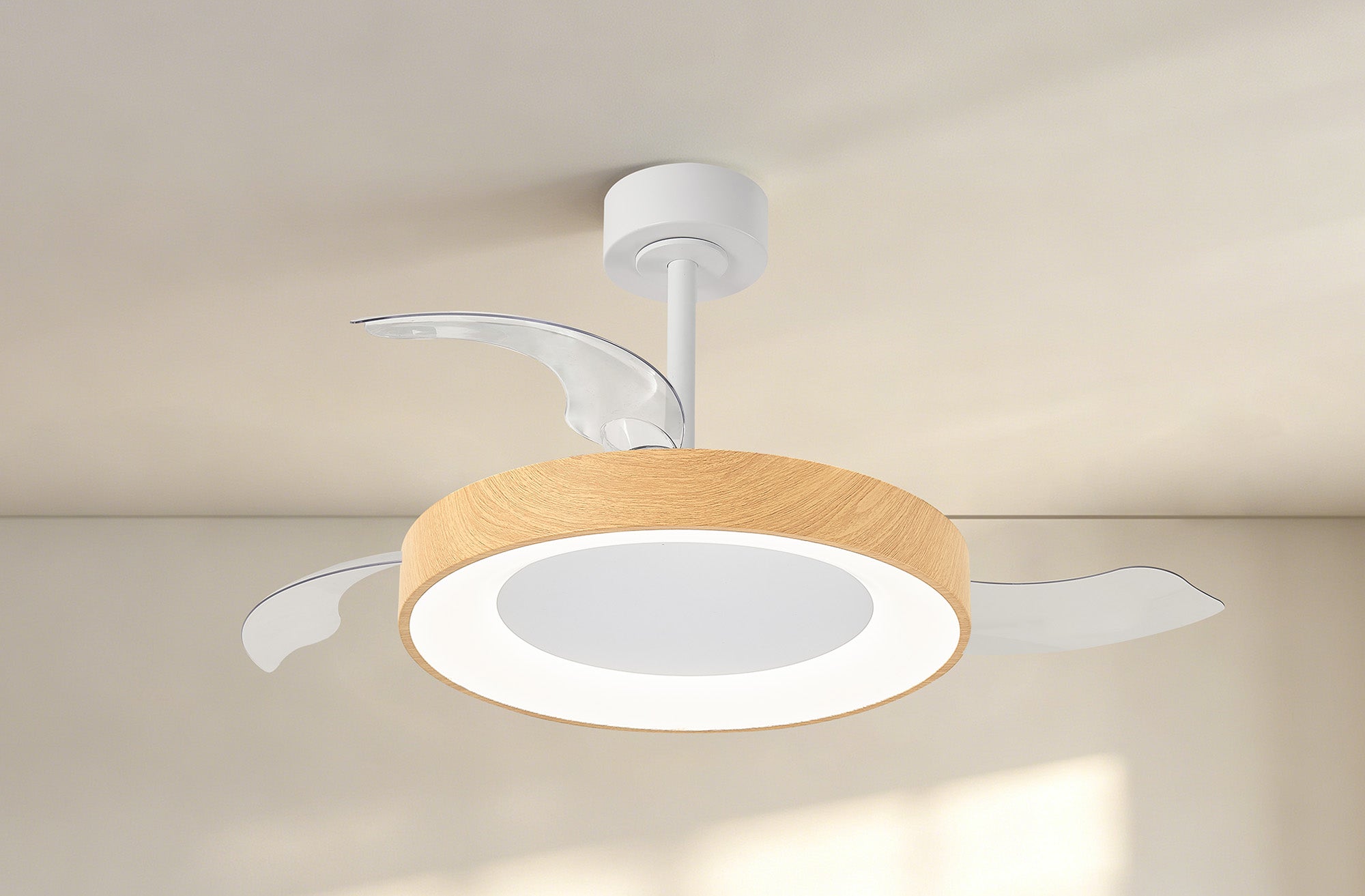 Niseko Fan M_M9011
