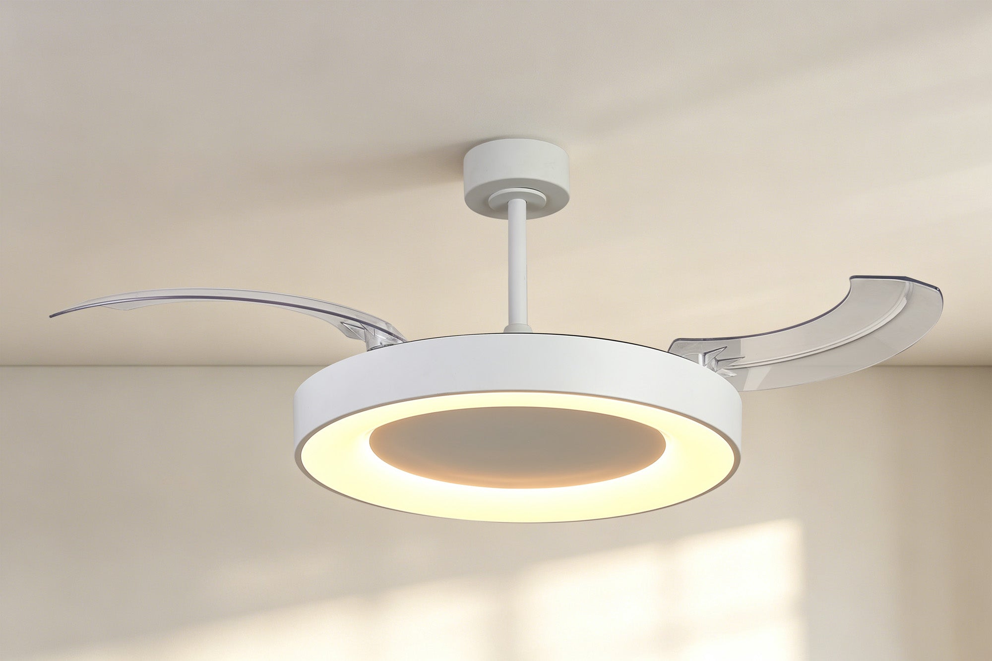 Niseko Fan L_M9057