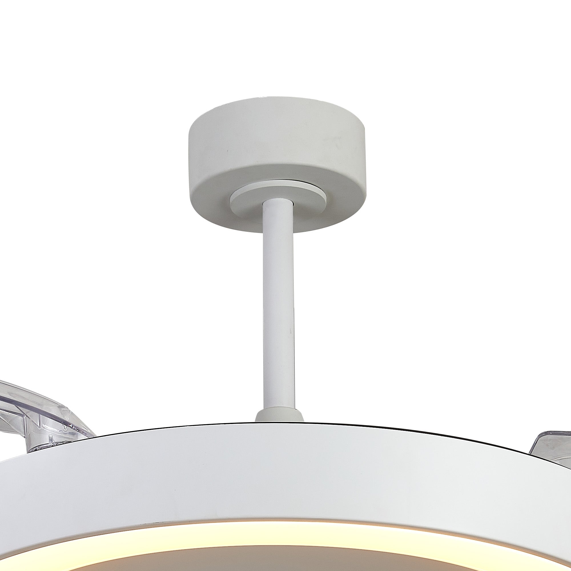 Niseko Fan L_M9057