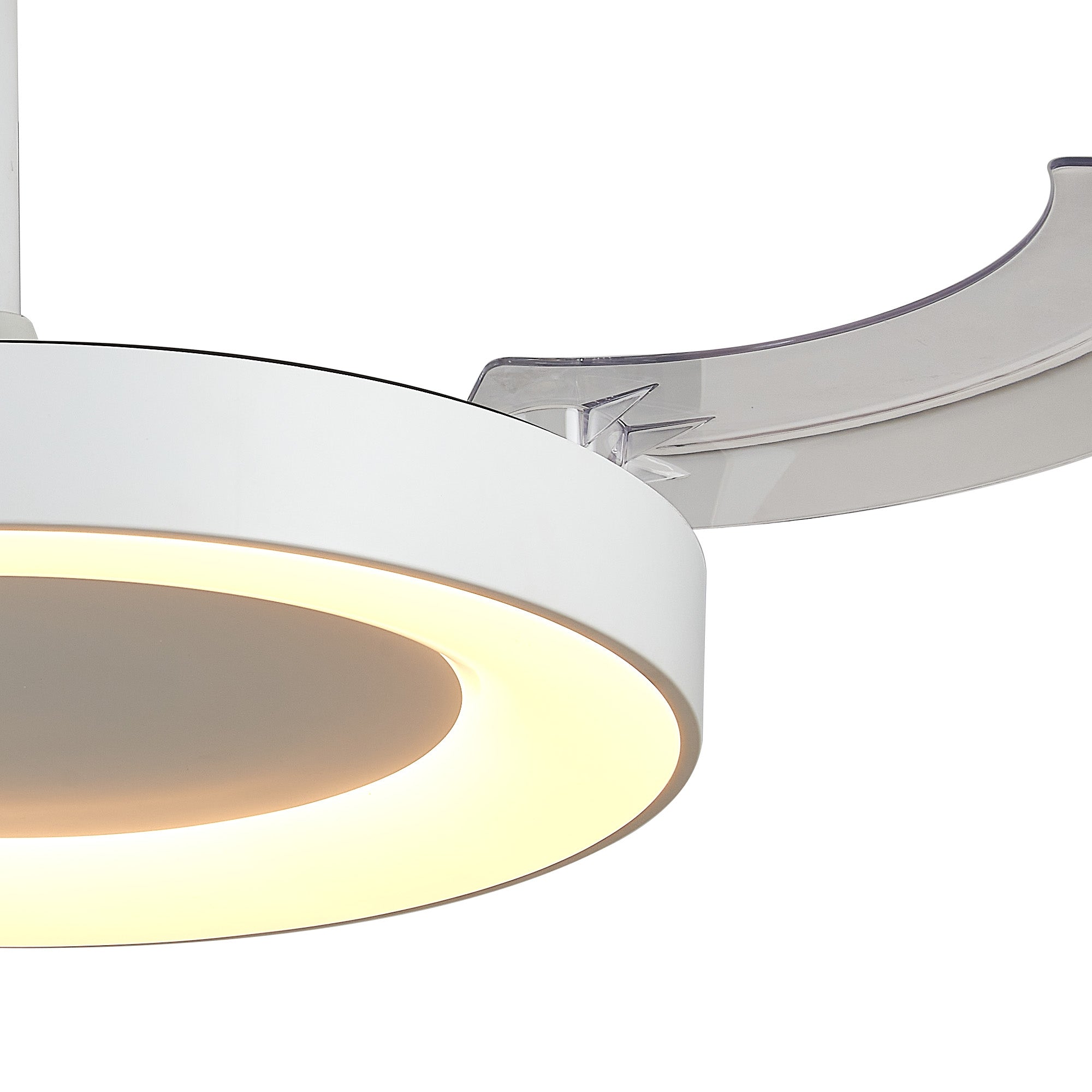 Niseko Fan L_M9057