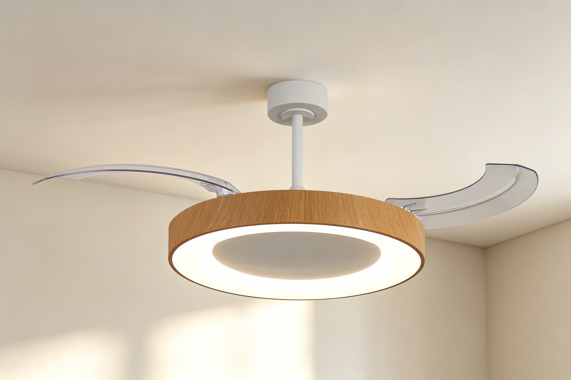 Niseko Fan L_M9058