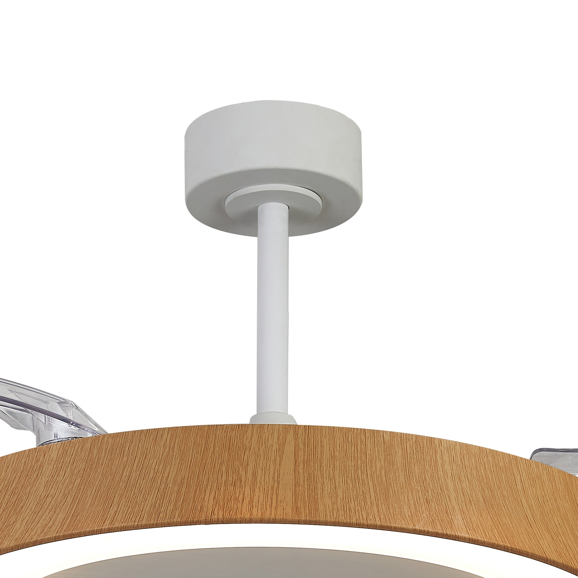 Niseko Fan L_M9058