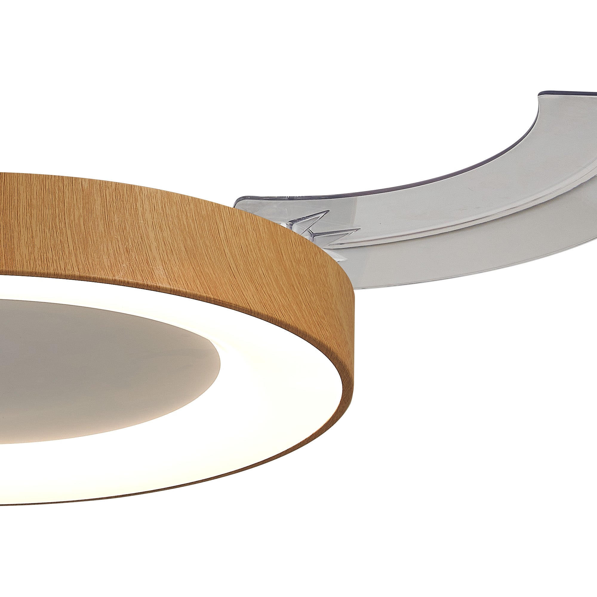 Niseko Fan L_M9058