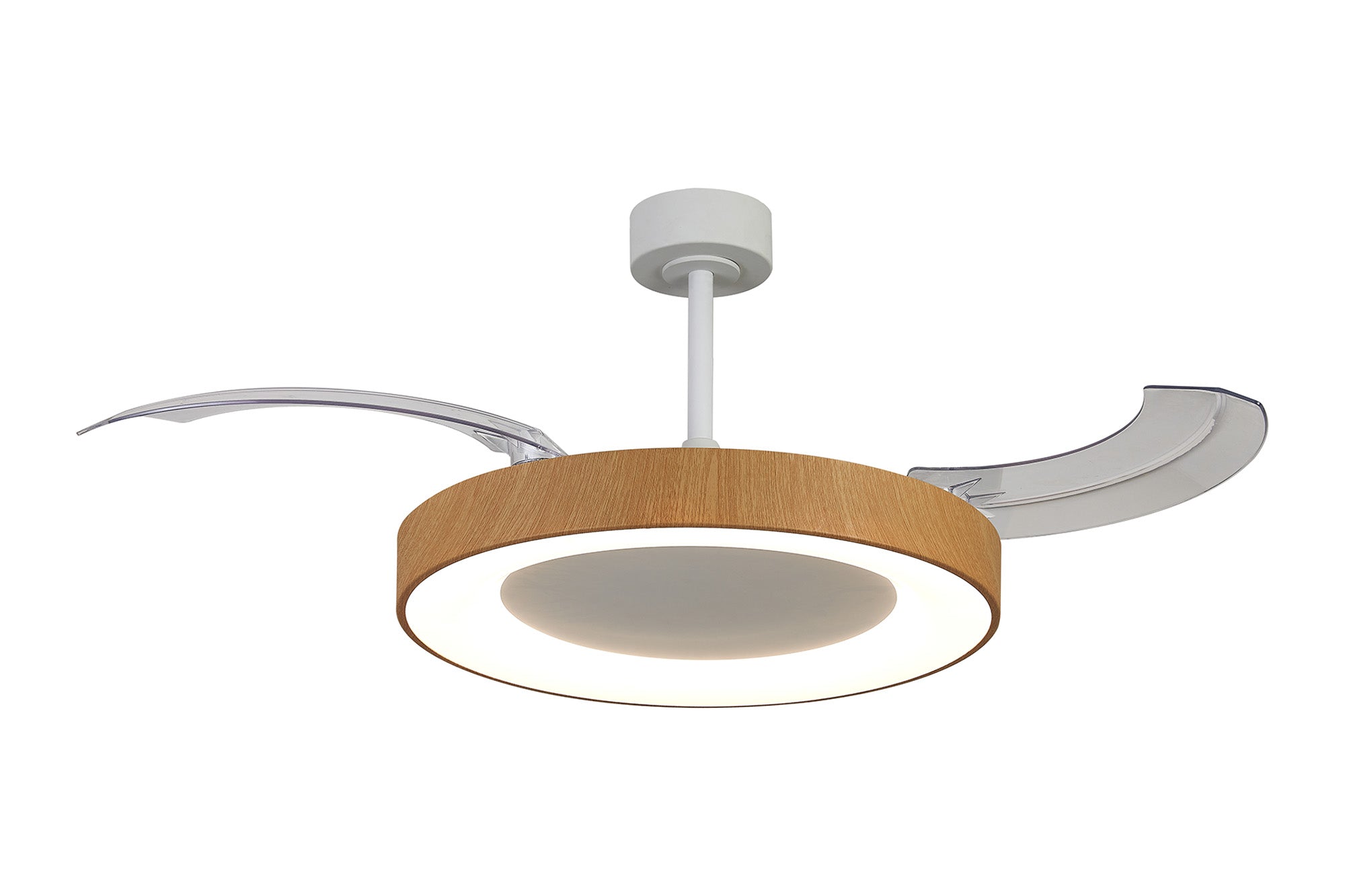 Niseko Fan L_M9058