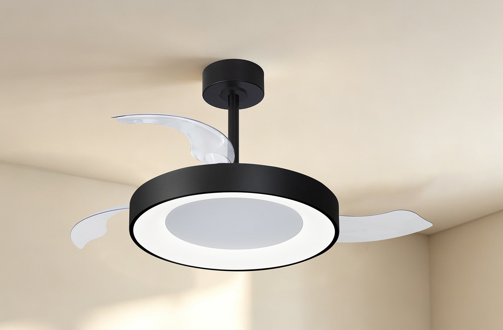 Niseko Fan M_M9063