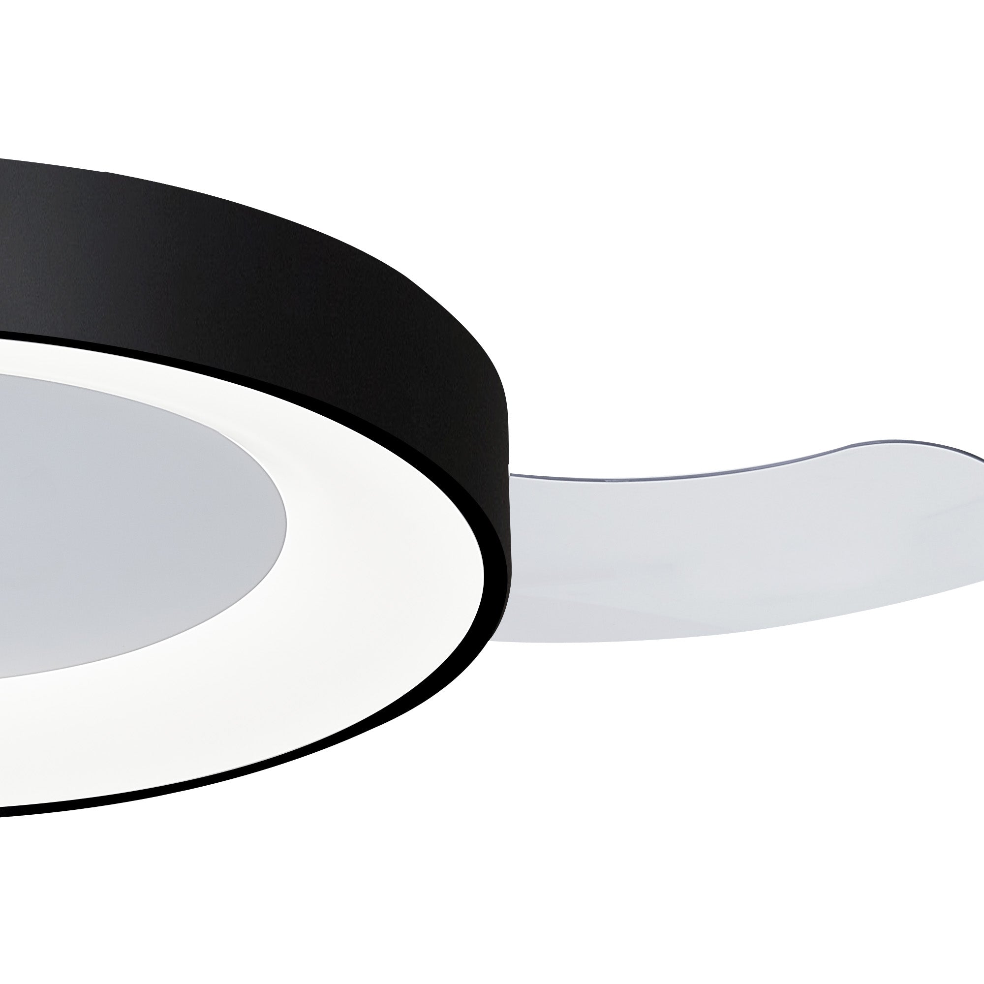 Niseko Fan M_M9063
