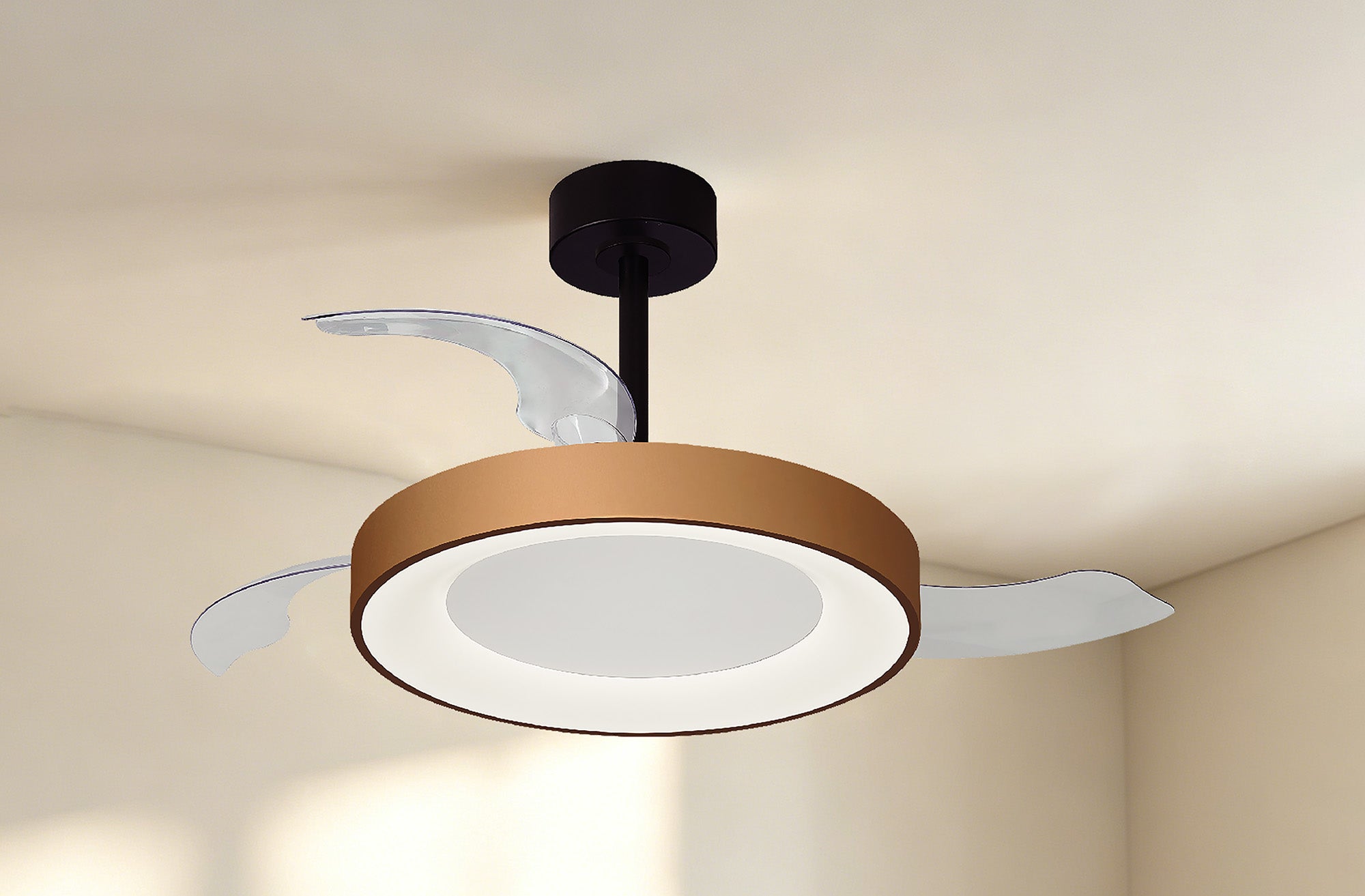 Niseko Fan M_M9091