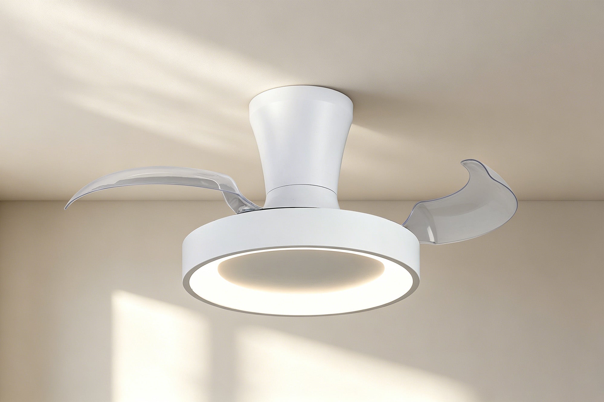 Niseko Fan XS_M9089